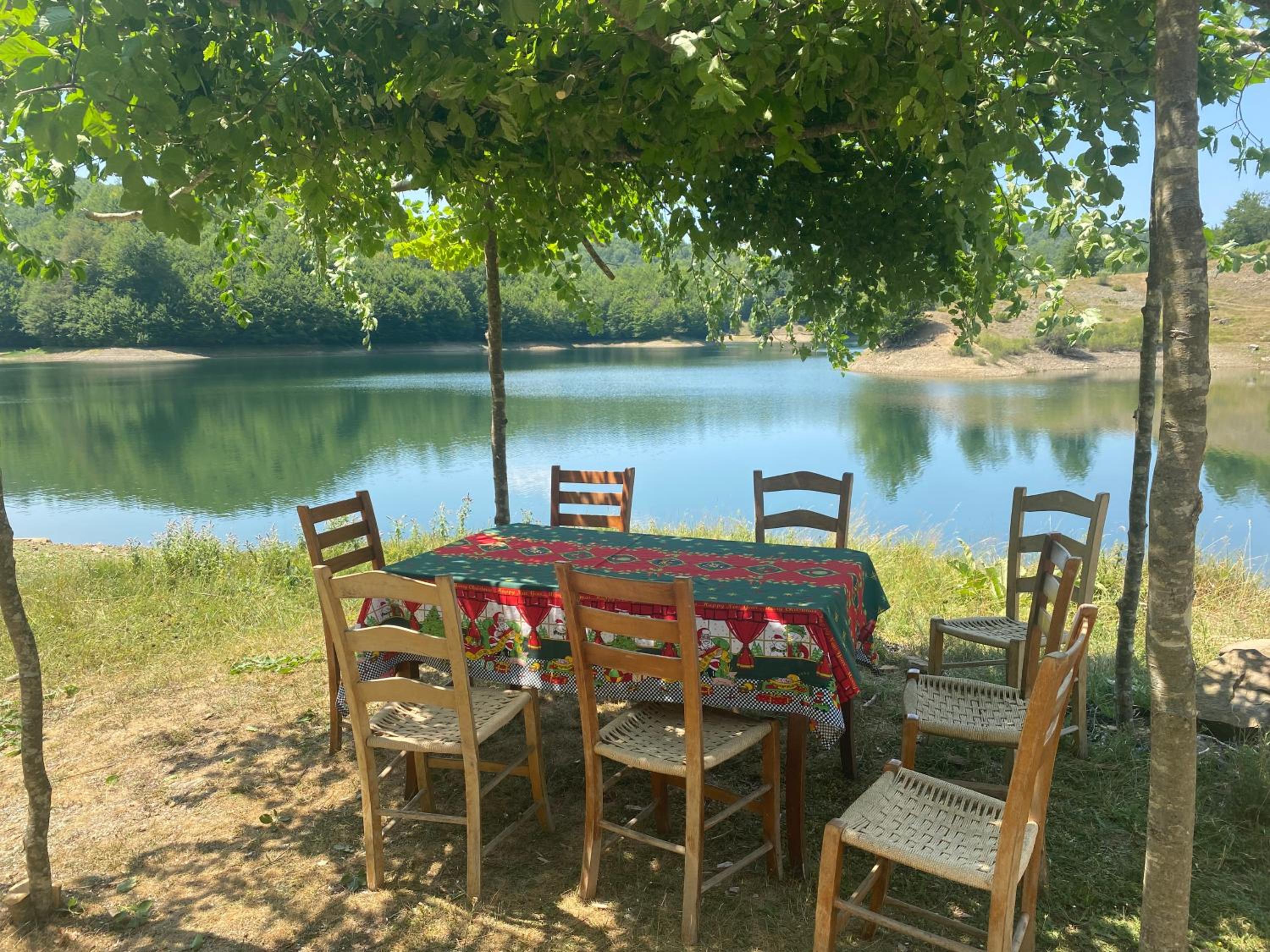 VILA DISHA
