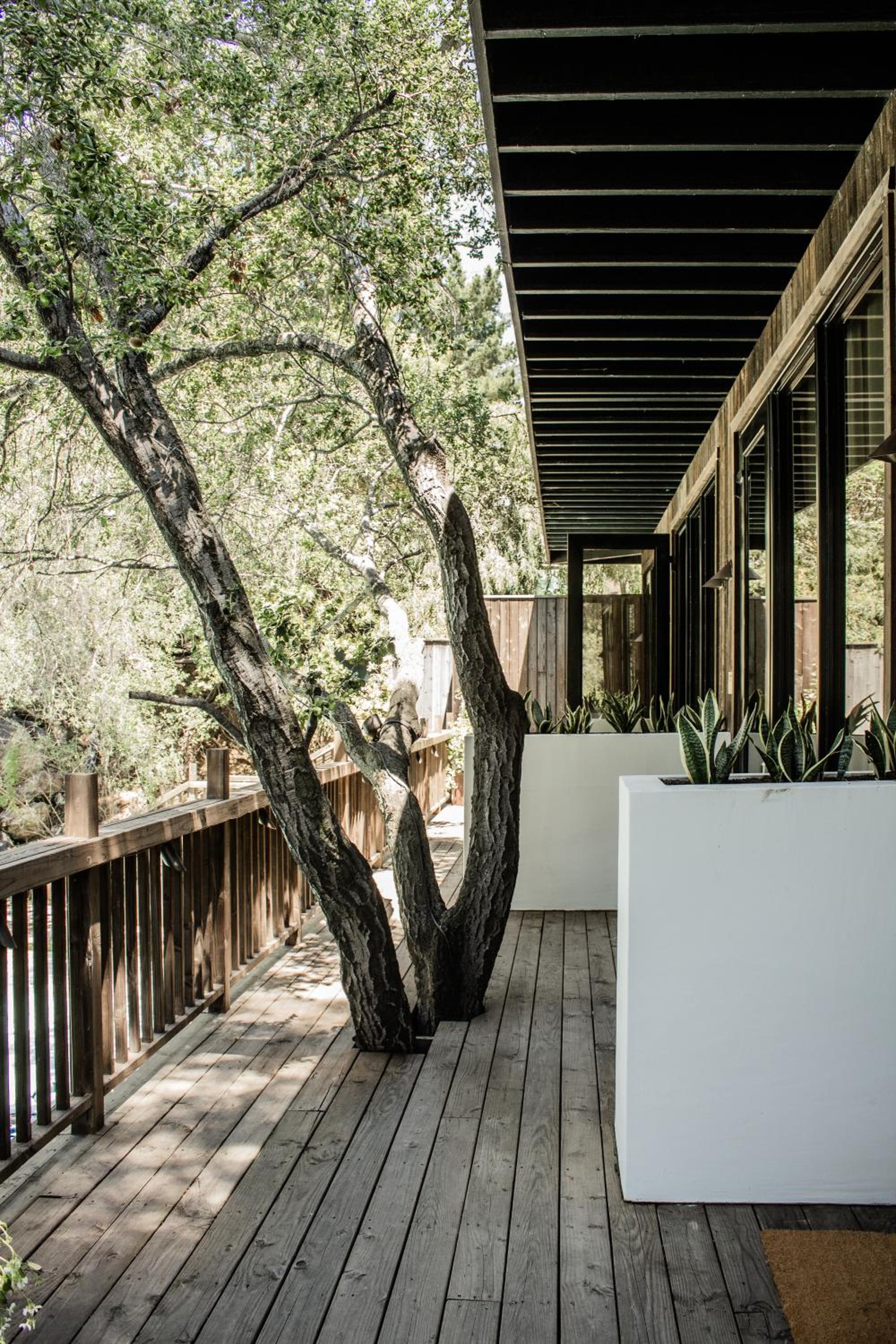 Calamigos Guest Ranch and Beach Club - Property Image 210