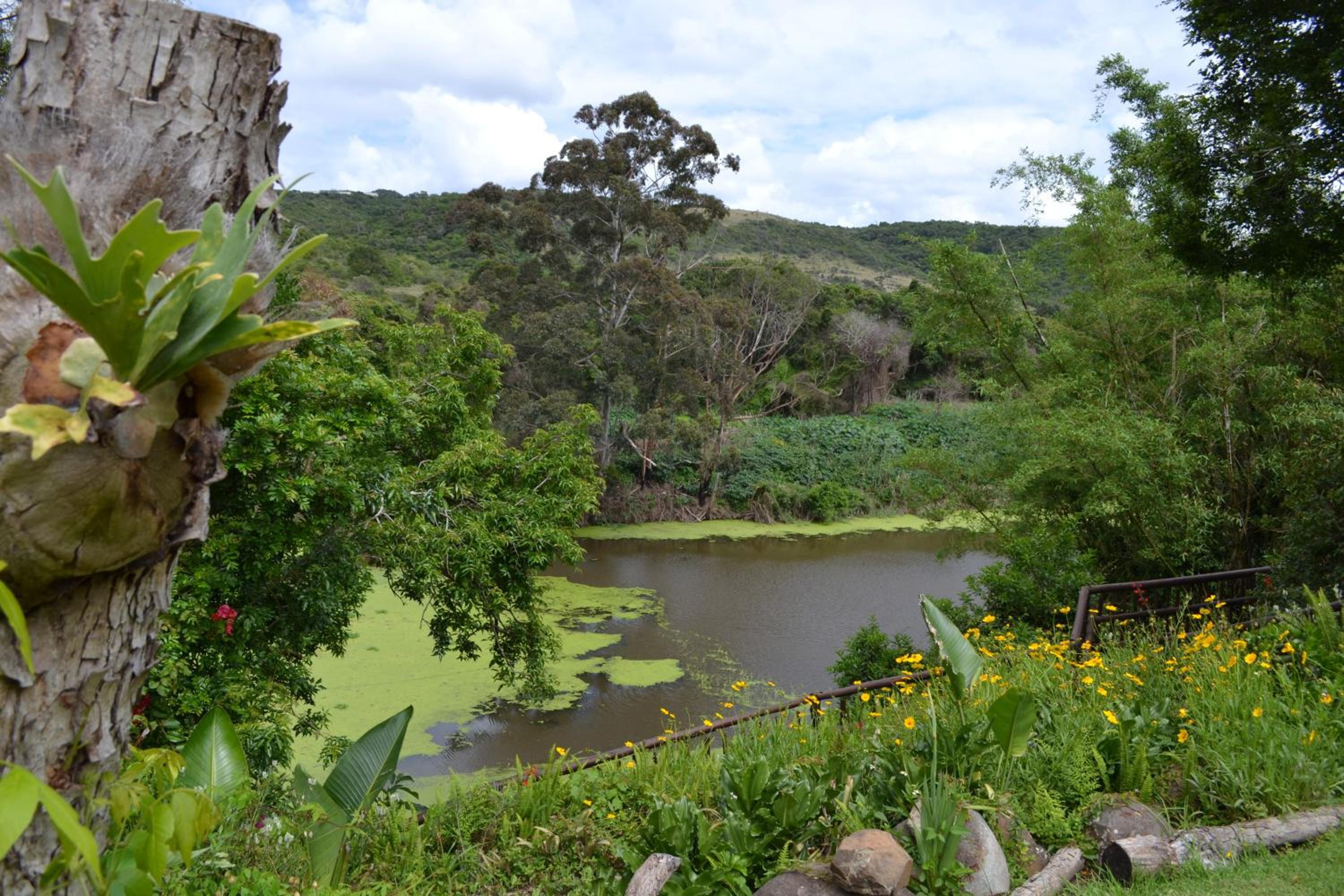 Fish Eagle Manor