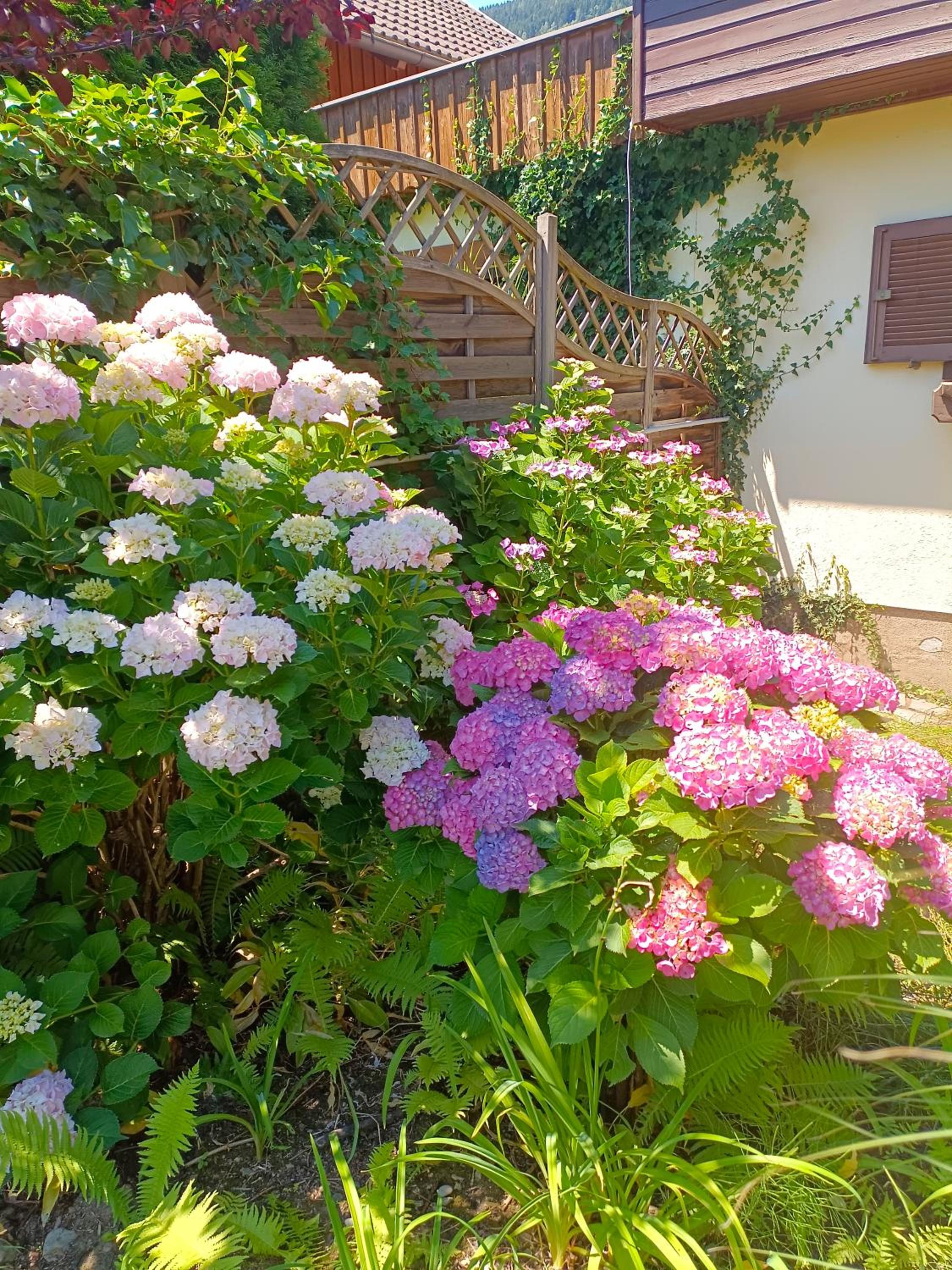 Haus Flora - Ferienwohnung Bodensdorf
