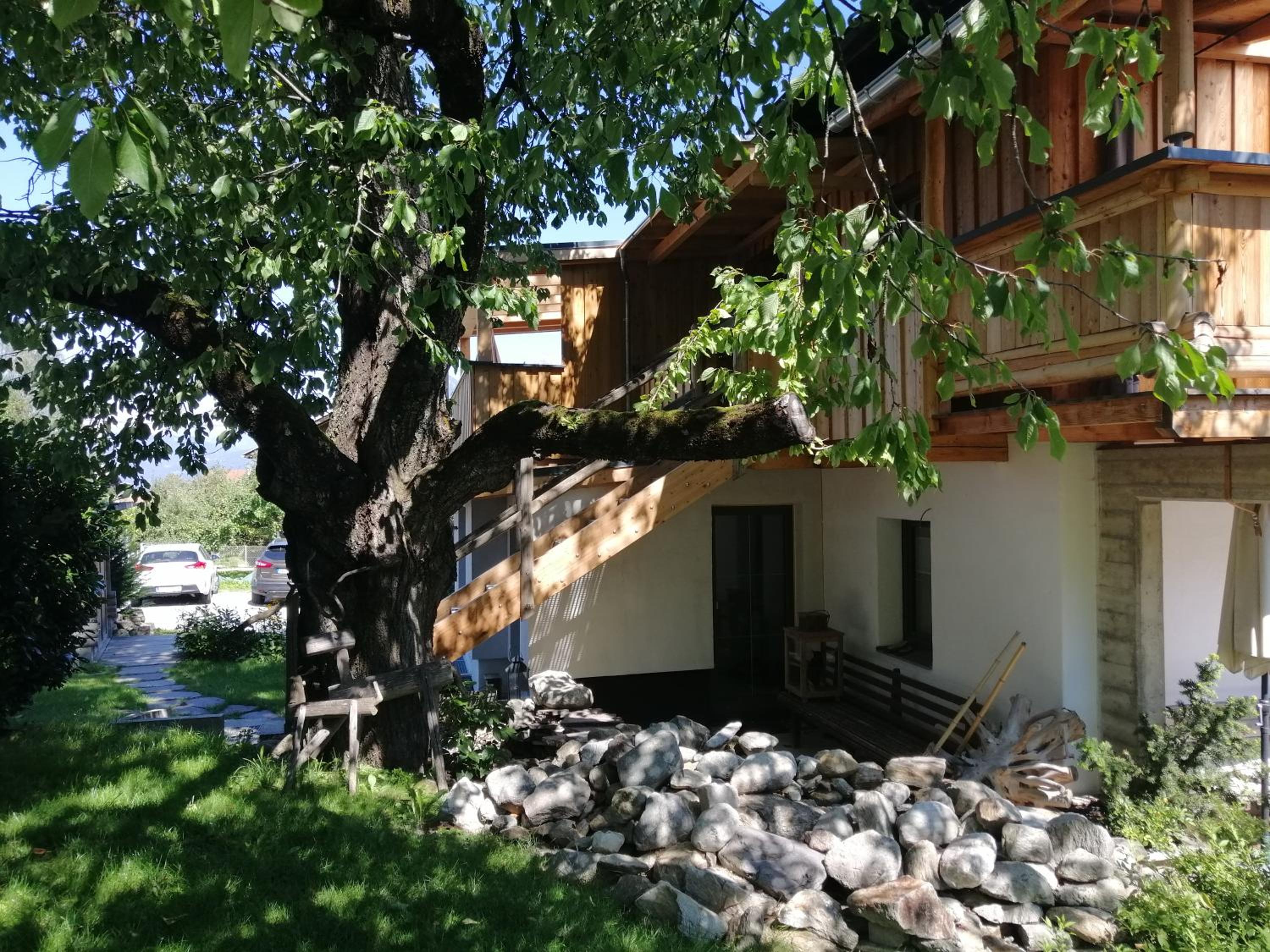 Photo 23