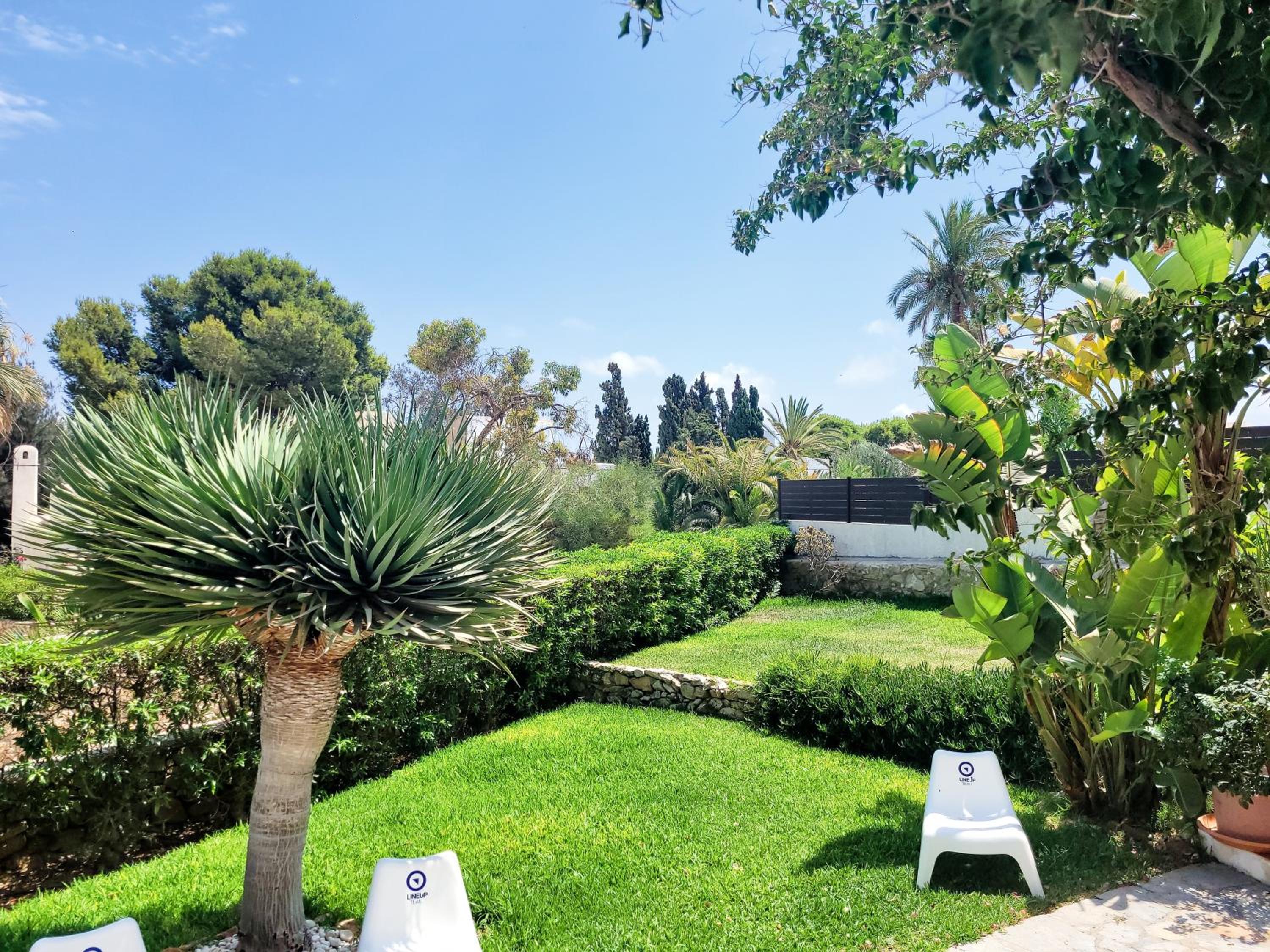 Photo 11