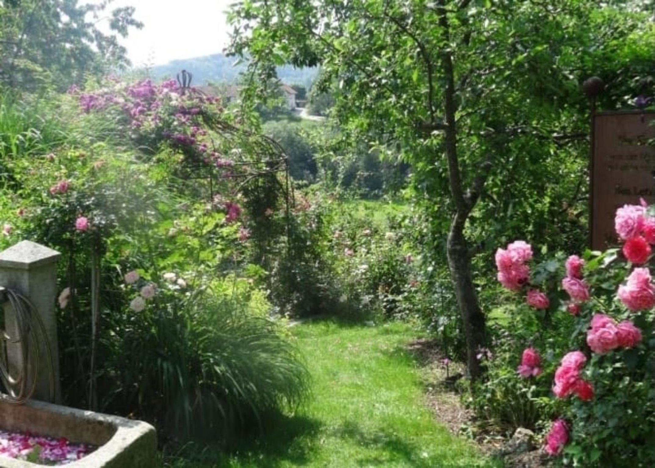 5 Sterne Ferienwohnung Alpenblick