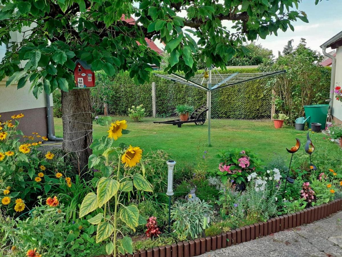 Ferienhaus Bellin VORP 2501
