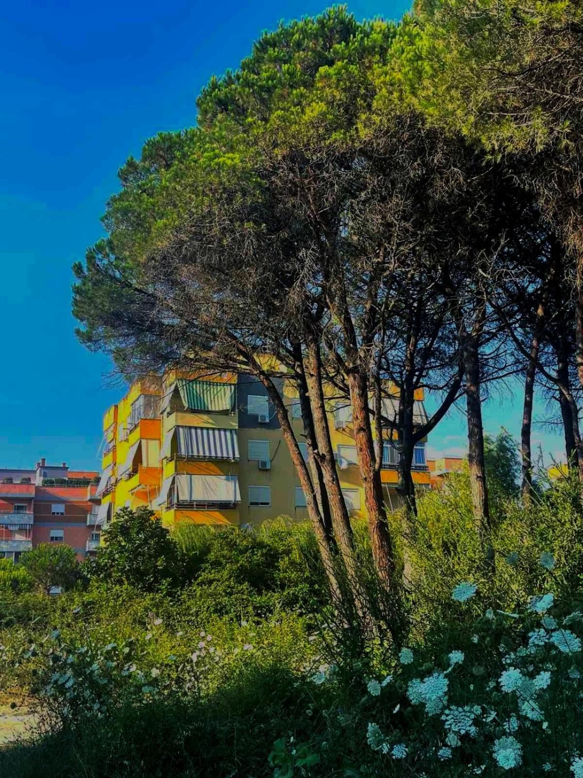 Mali i Robit apartments