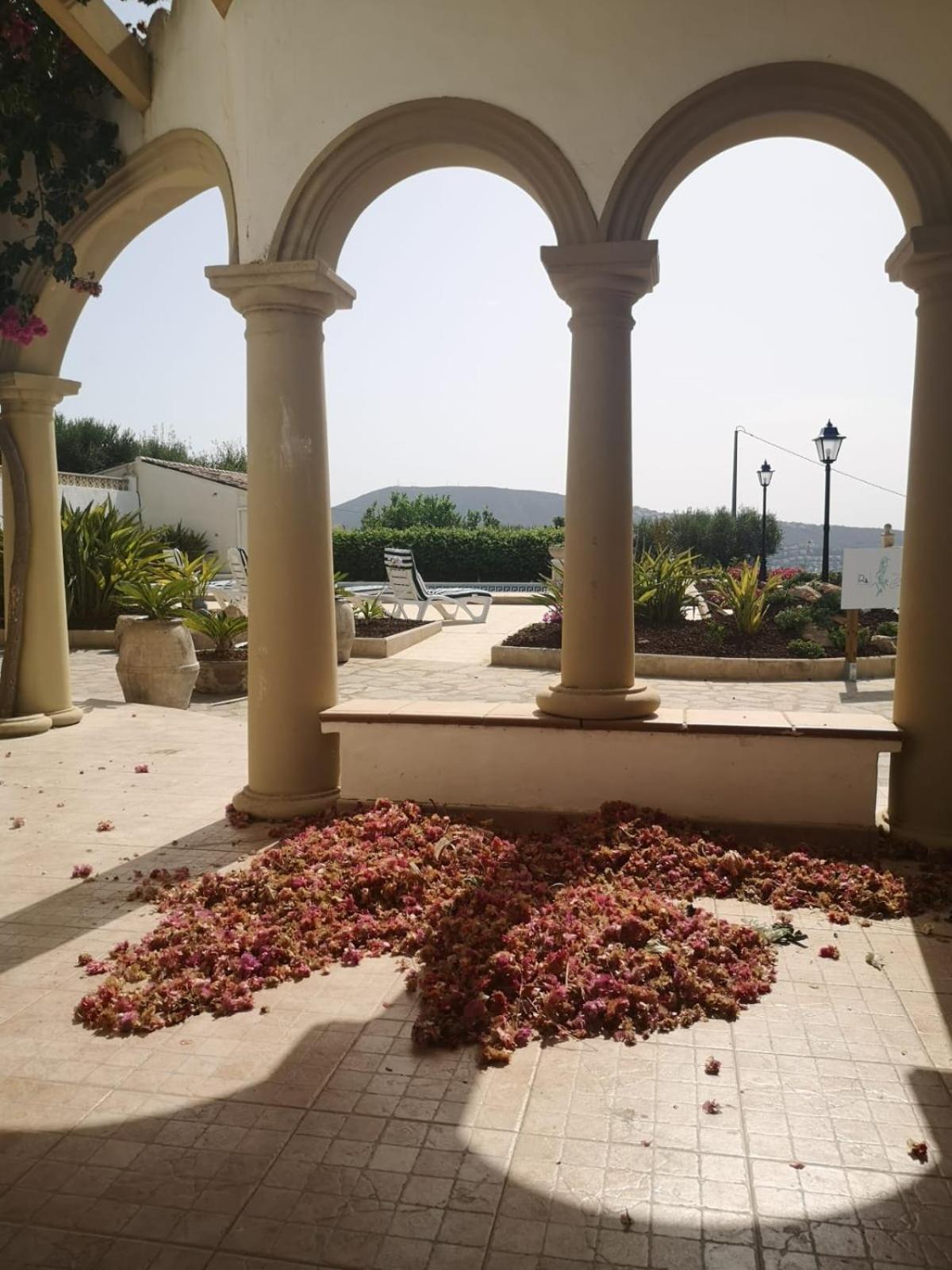Ca Olivar