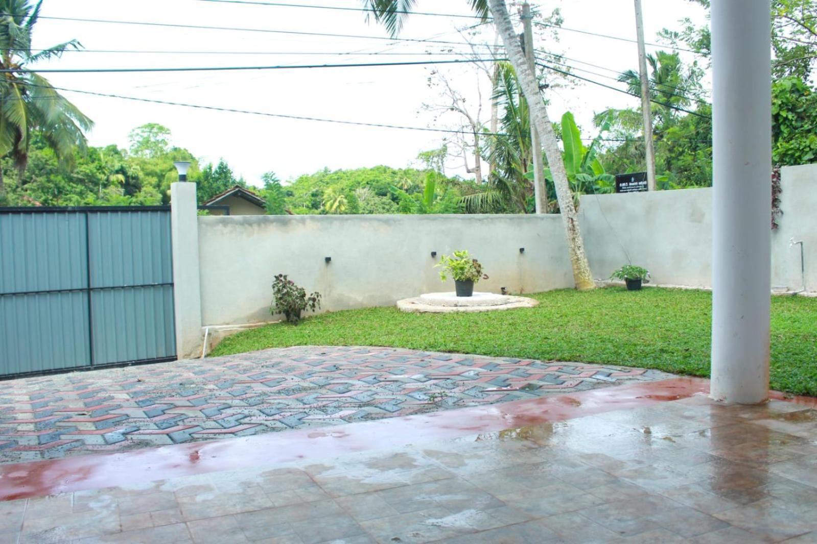 Coconut Tree Shade view 2