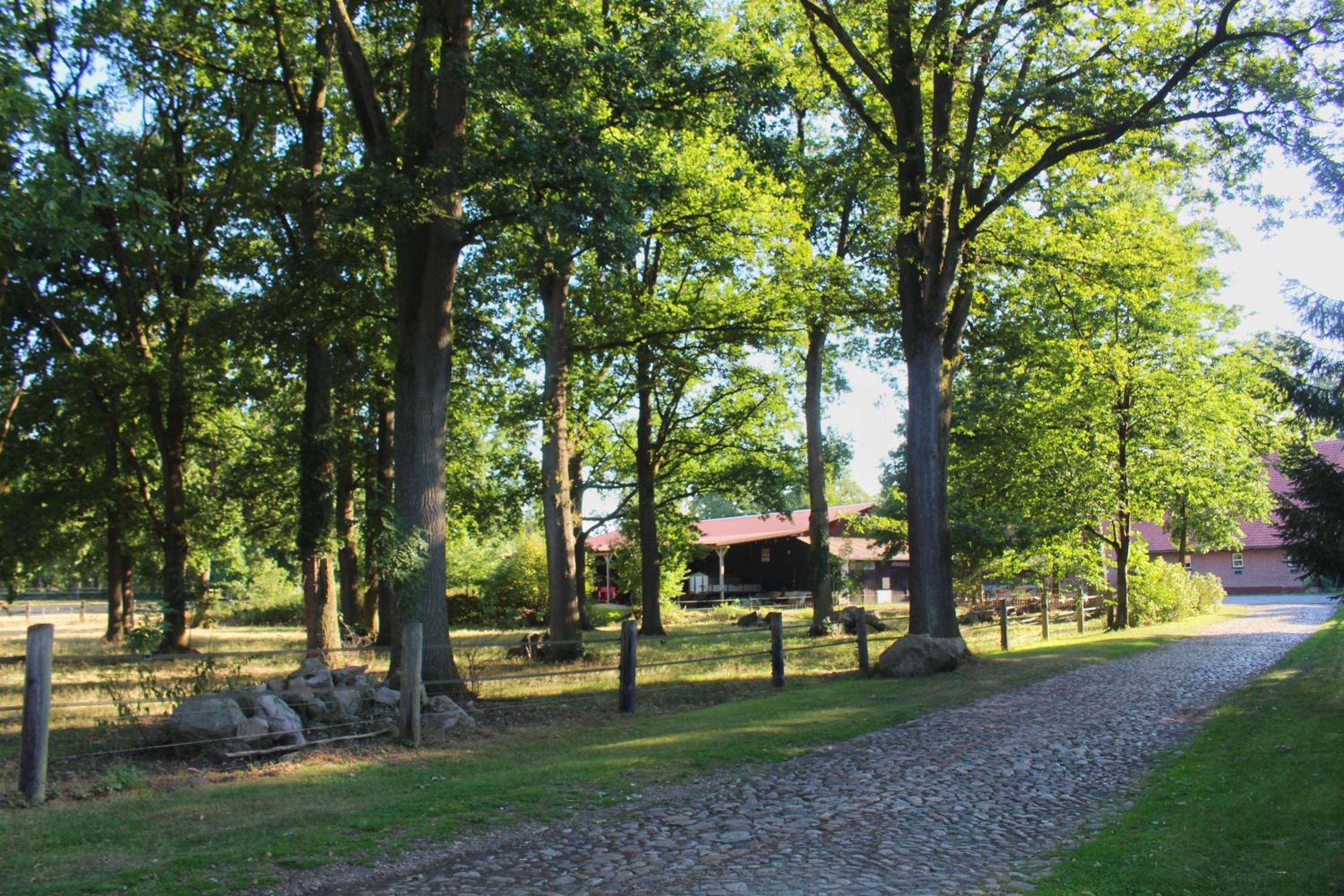 Hof von Felde
