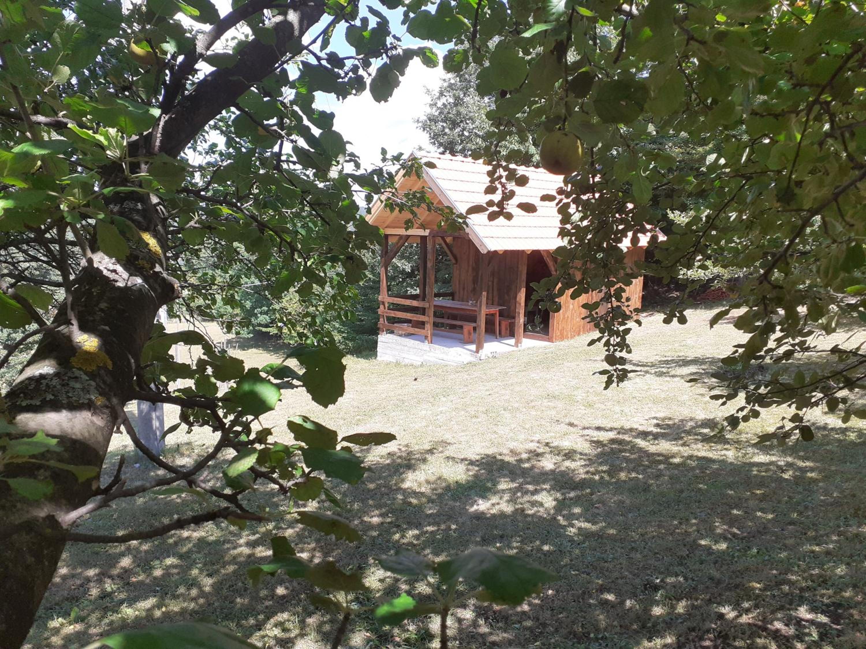 Photo 41