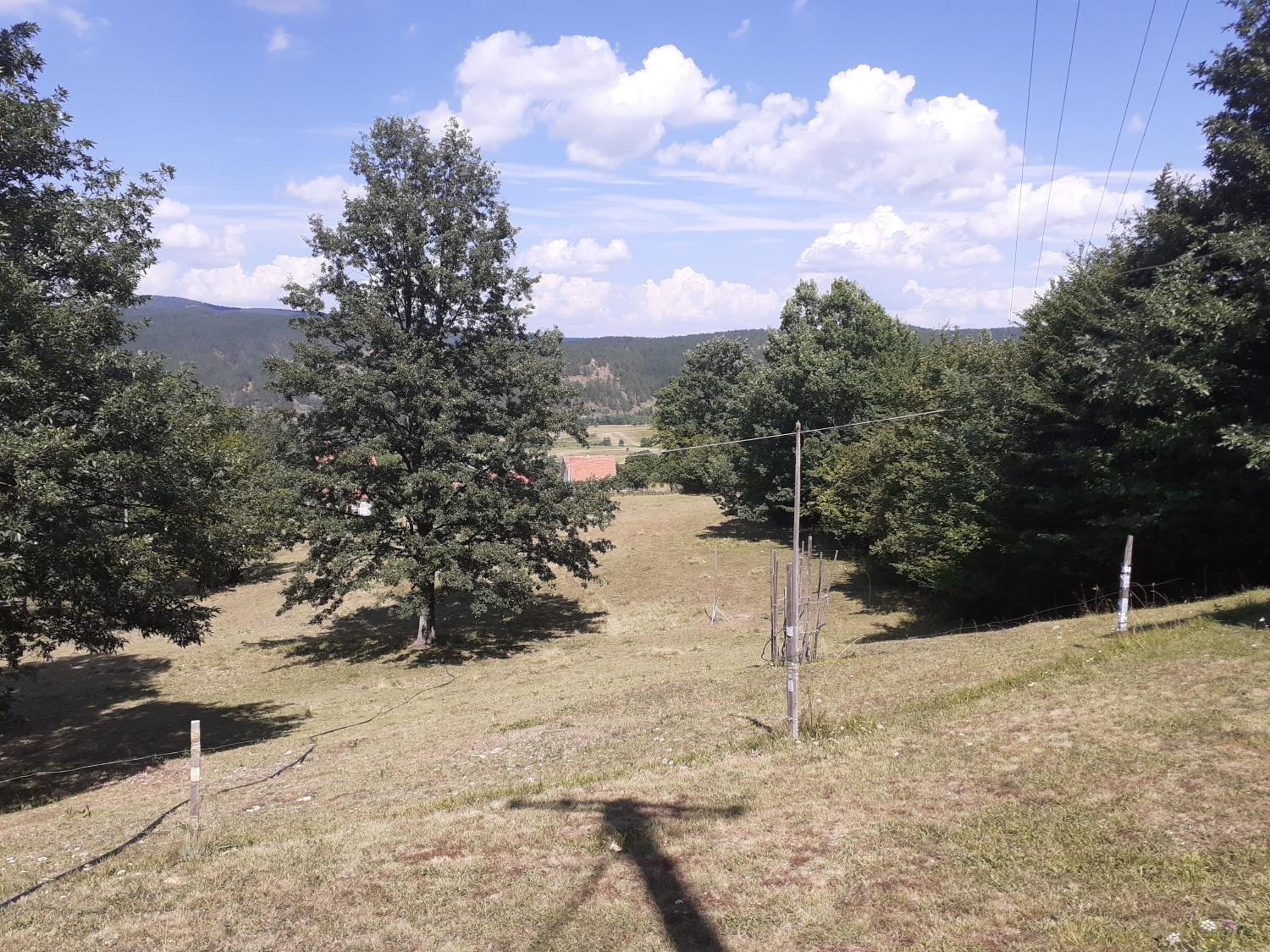 Photo 27
