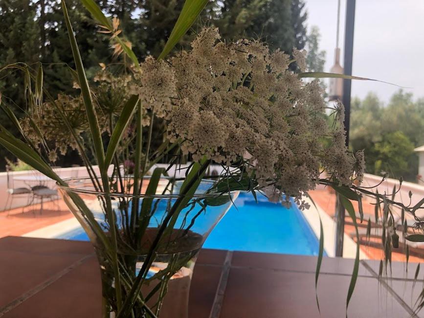 Casita Azahar Andalucia