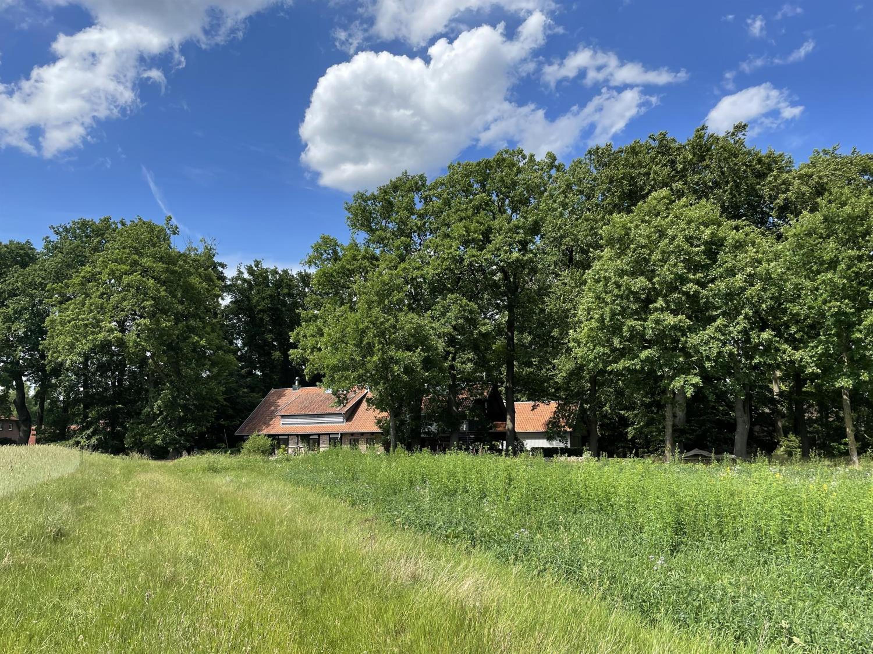 Atelier Tiedemann