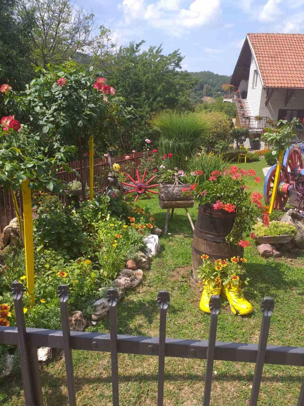 Apartmani Mali Raj Rudnik view 4
