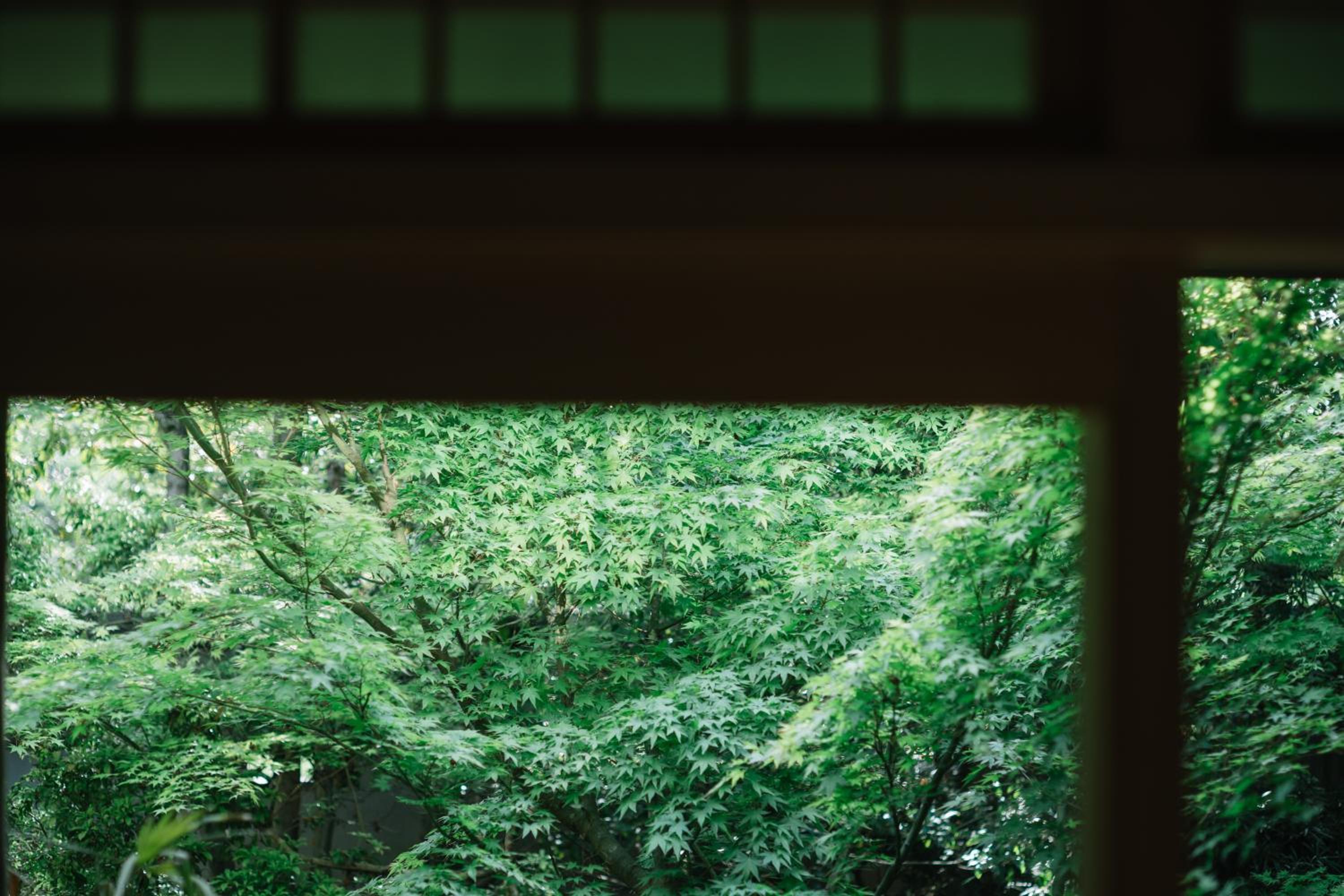 Kyoto Nanzenji Ryokan Yachiyo Established in 1915