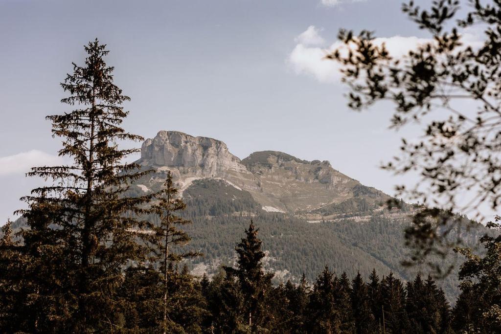 Das Schutzhaus-Bed and Breakfast-Dein Basislager im Salzkammergut