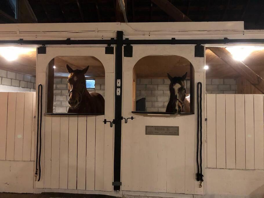 Nicura Ranch Inn & Stables view 2