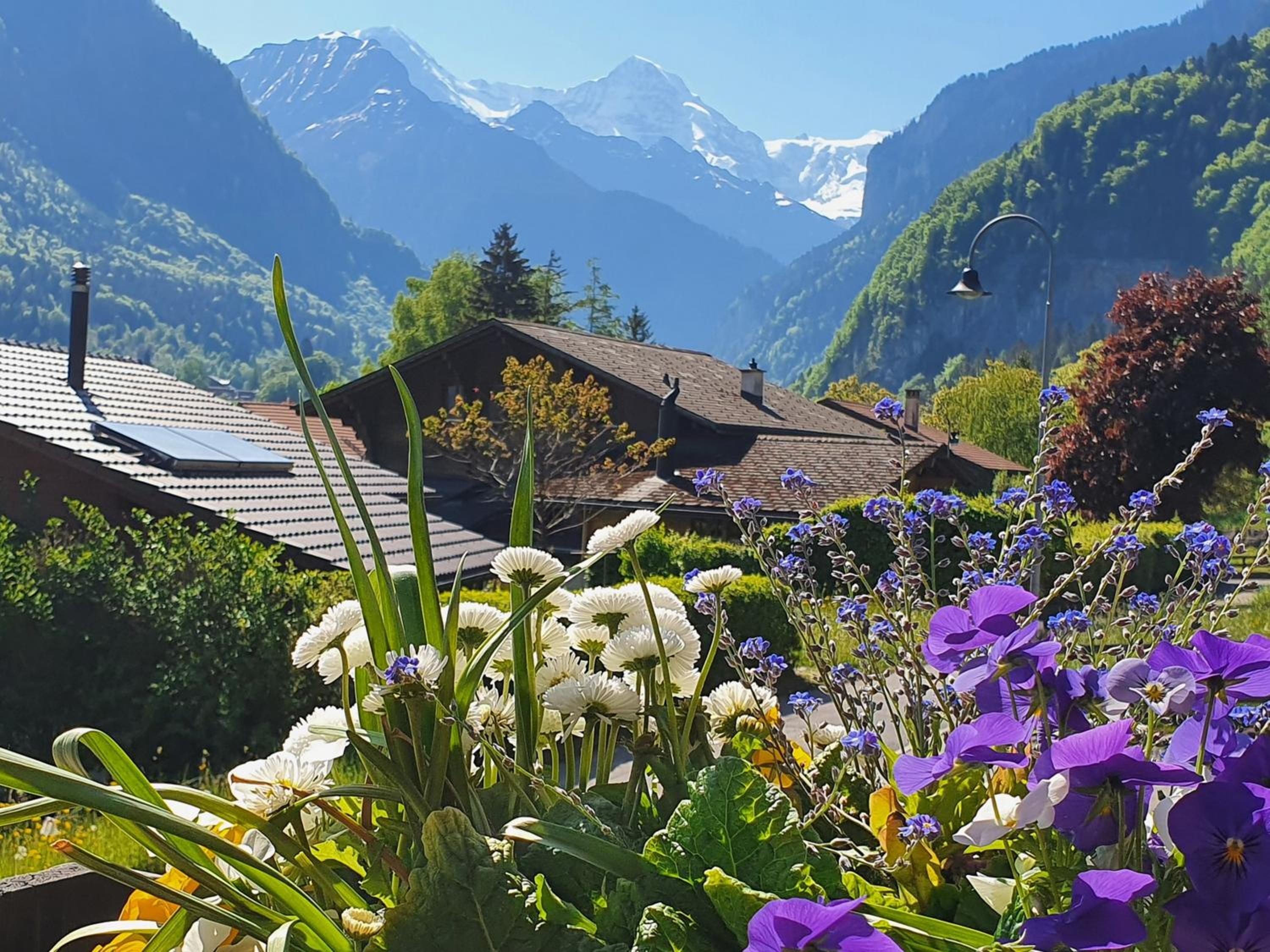 Chalet Gafri -Boutique B&B - comfort and hospitality - near Interlaken