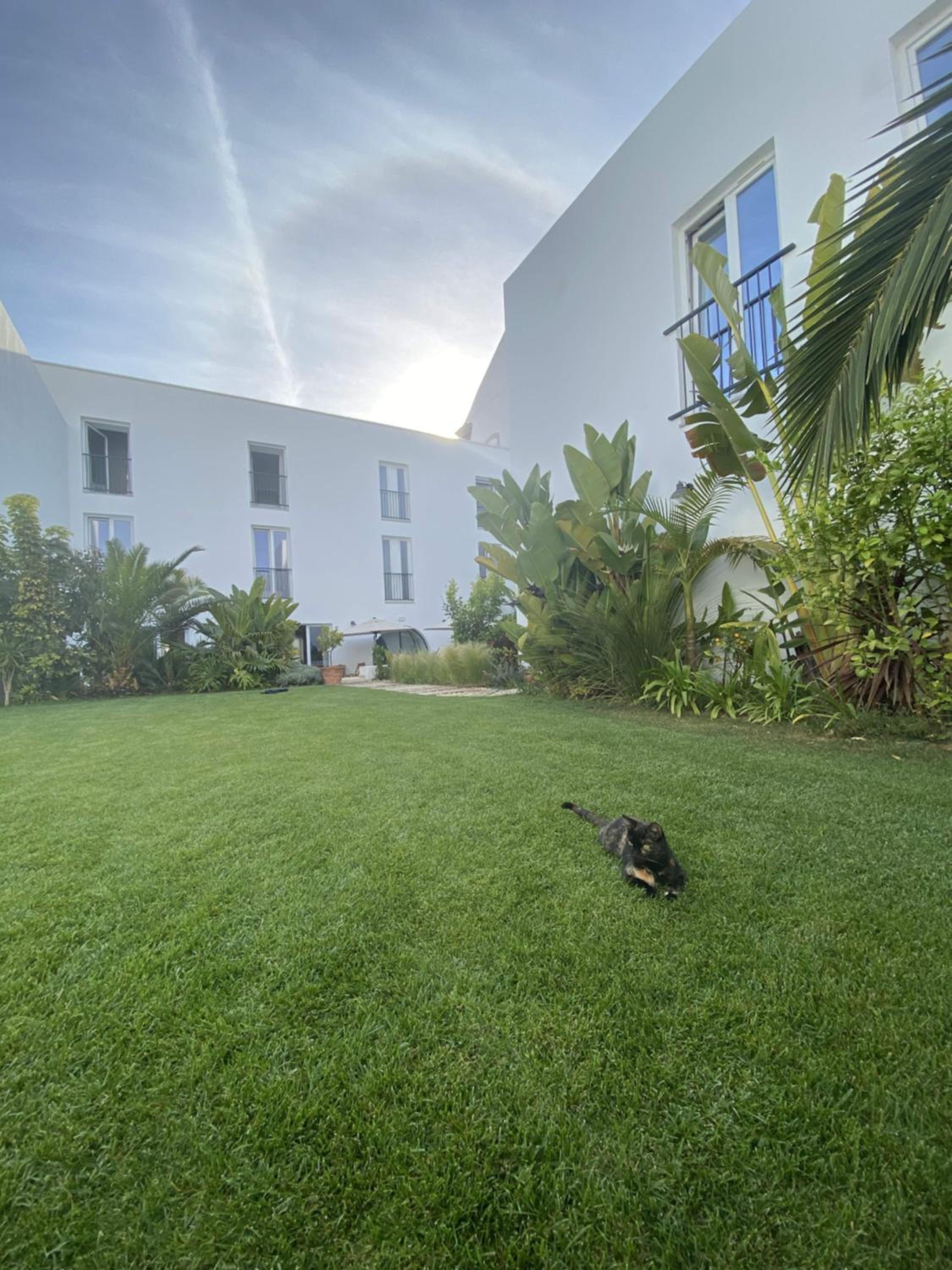 Hotel Casa Apollo Guesthouse - Image 1