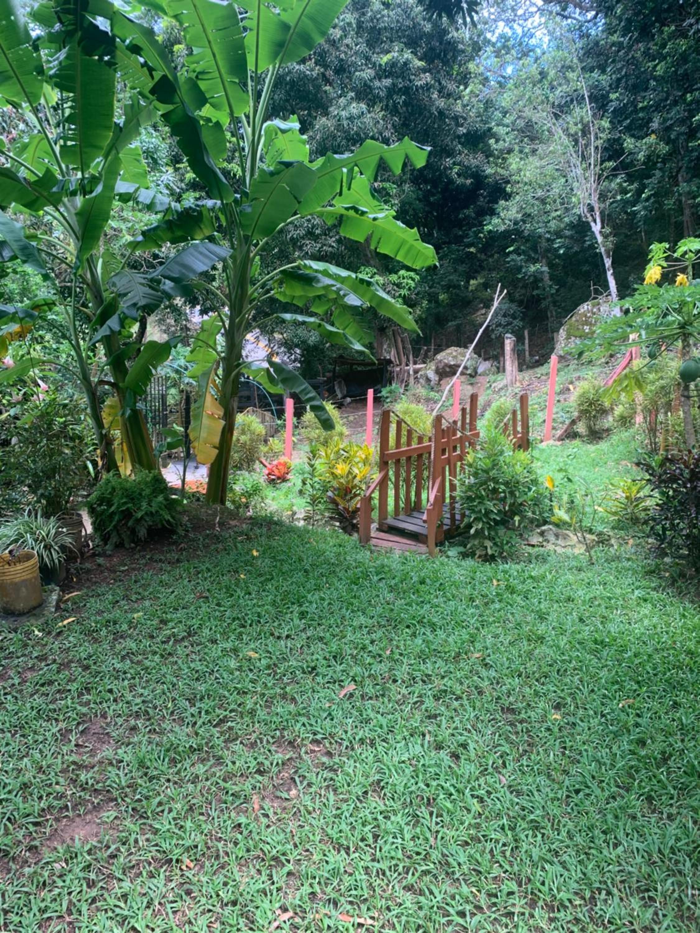 Finca Peñitas