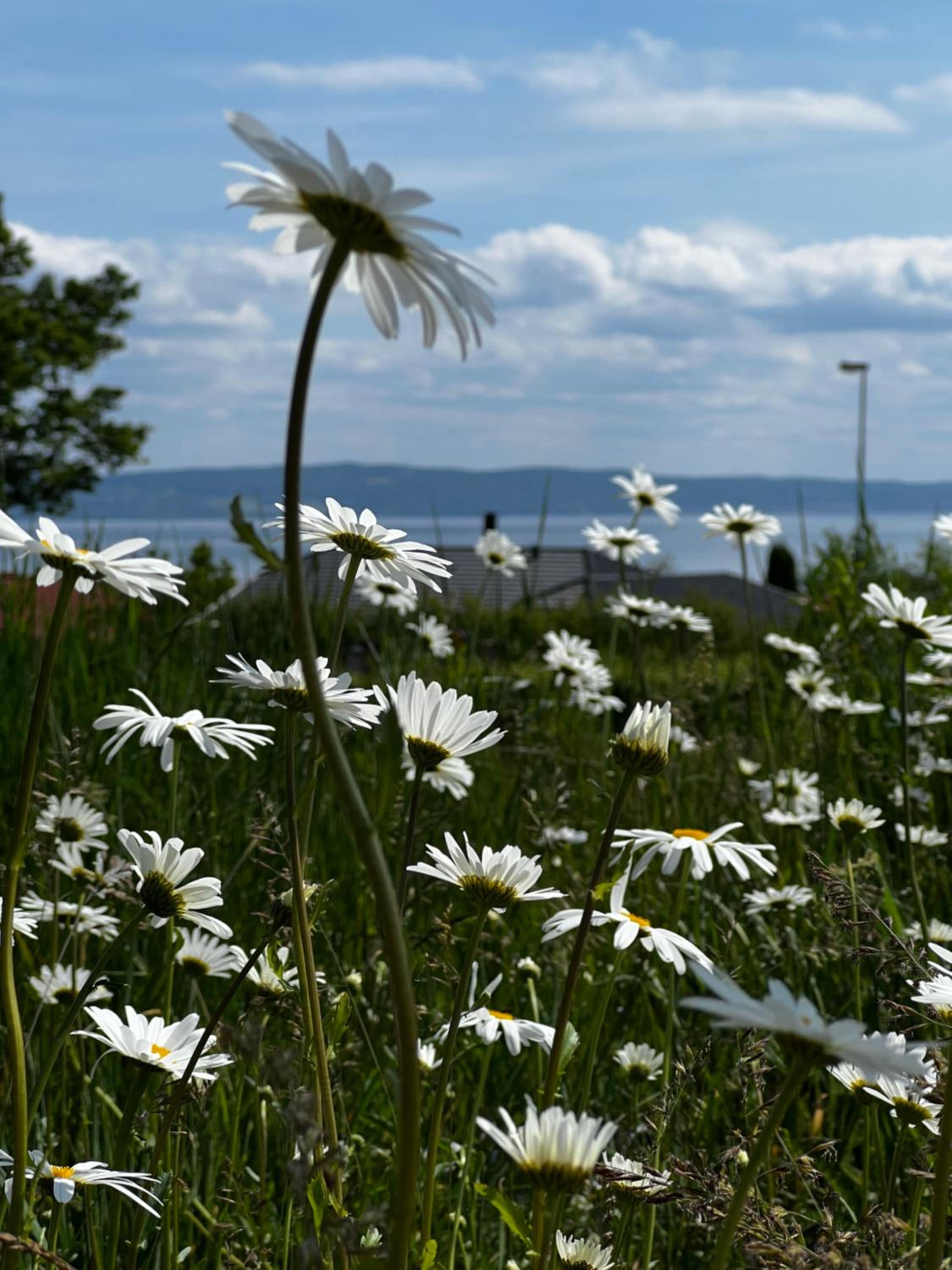 Fantastisk Vätterutsikt mellan Habo och Bankeryd. view 4