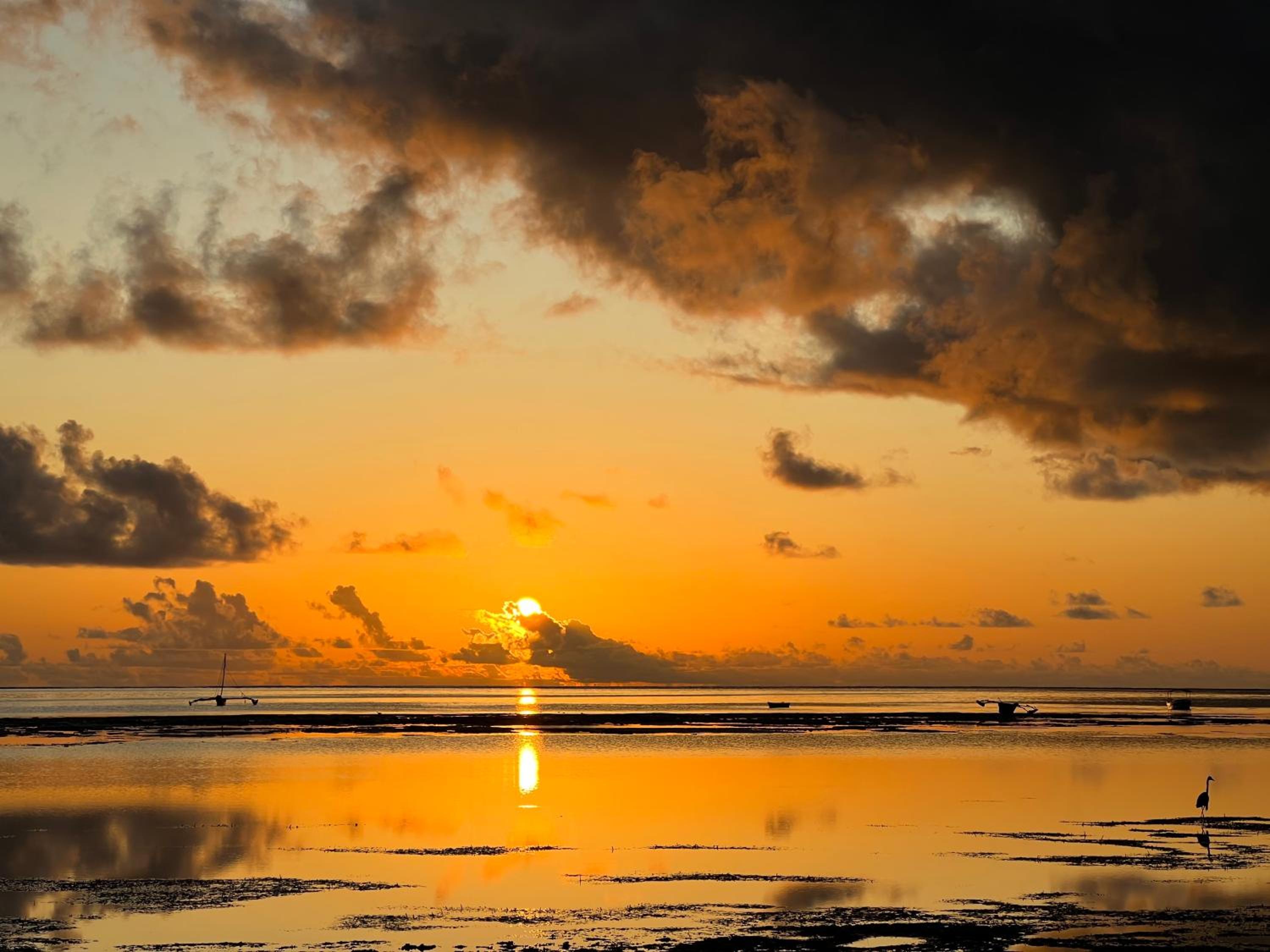 The View of Zanzibar view 4