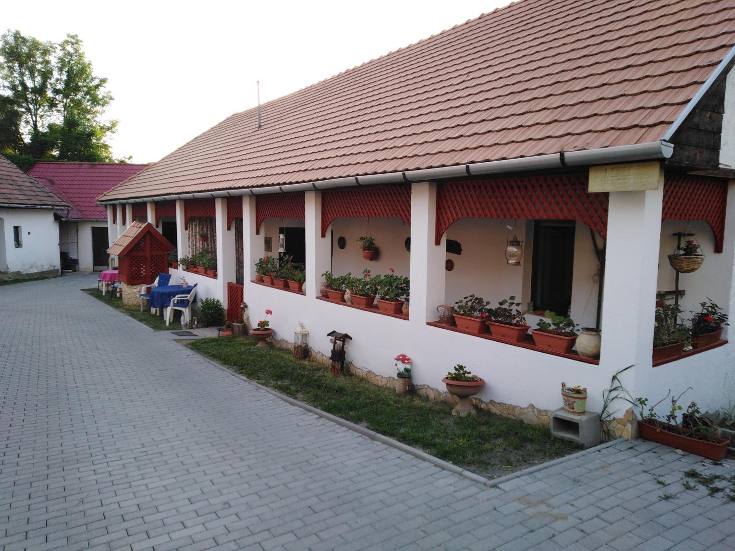 Photo 21