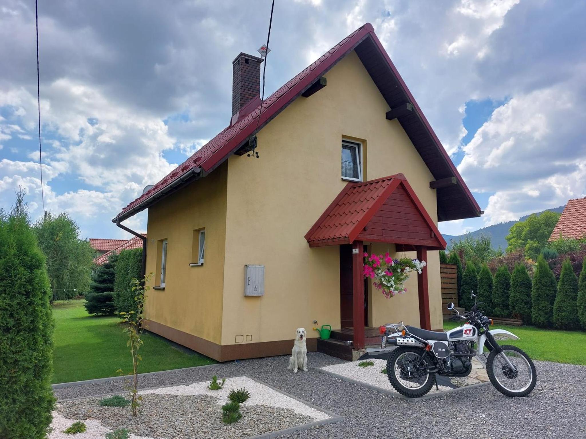 Photo 19