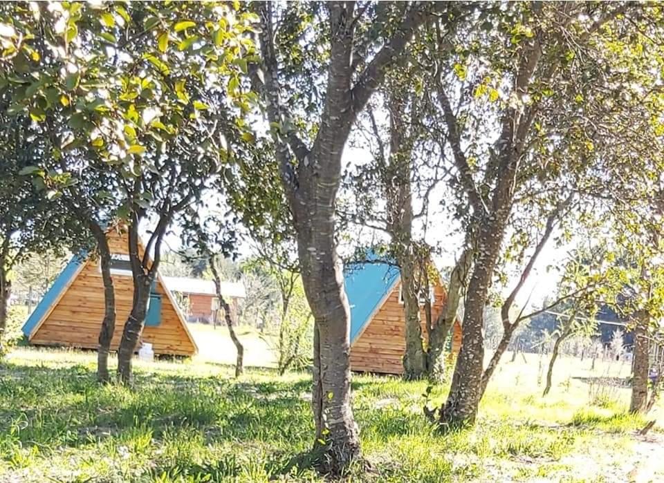 A-FRAME CABIN PUCON