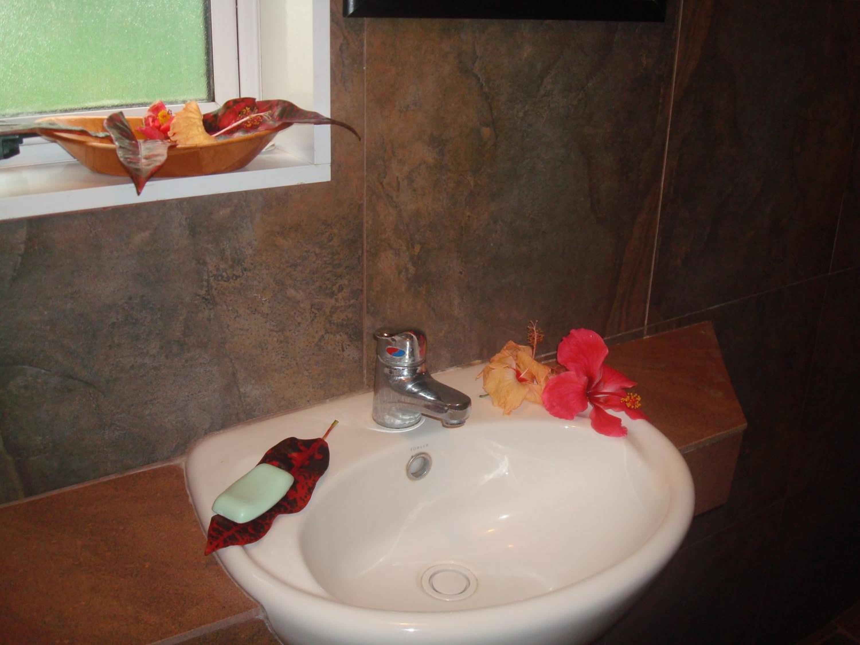 Gecko Lodge Fiji