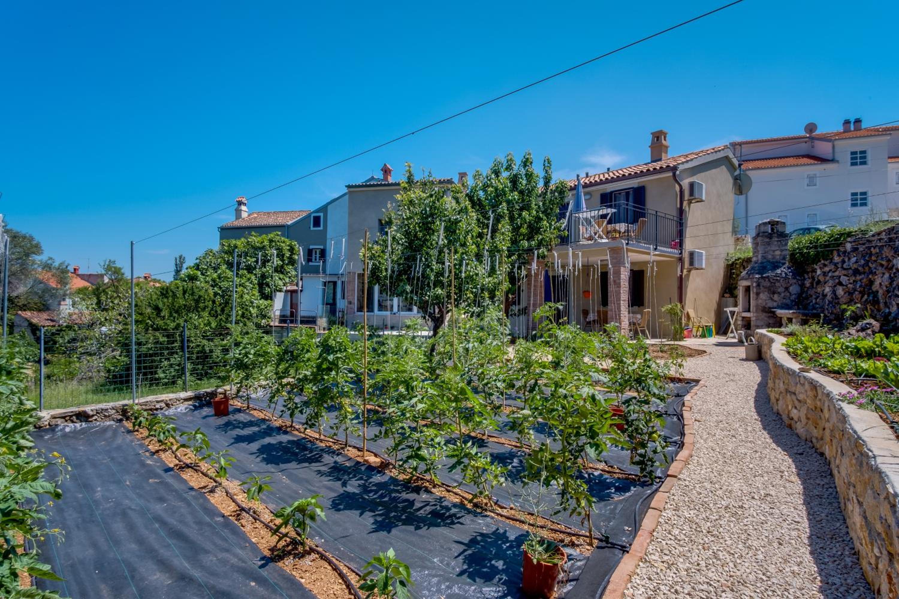 Apartments by the sea Nerezine, Losinj - 18734 view 2