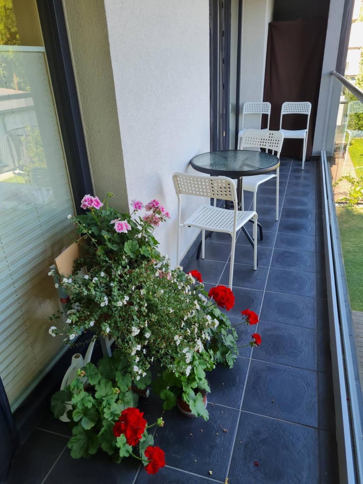 Apartamentai Muziejaus g.