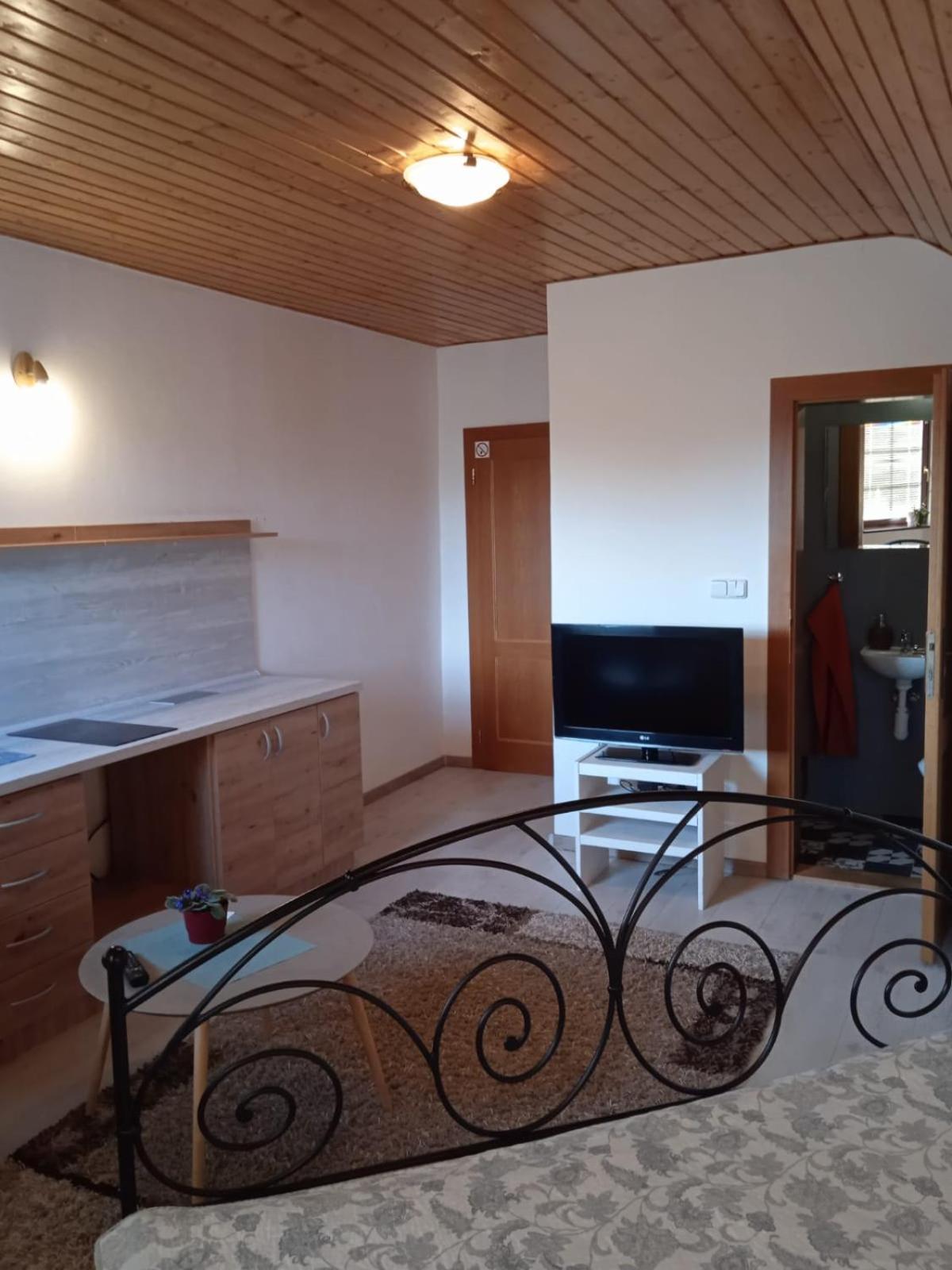 Vila Štefan Drevko view 2
