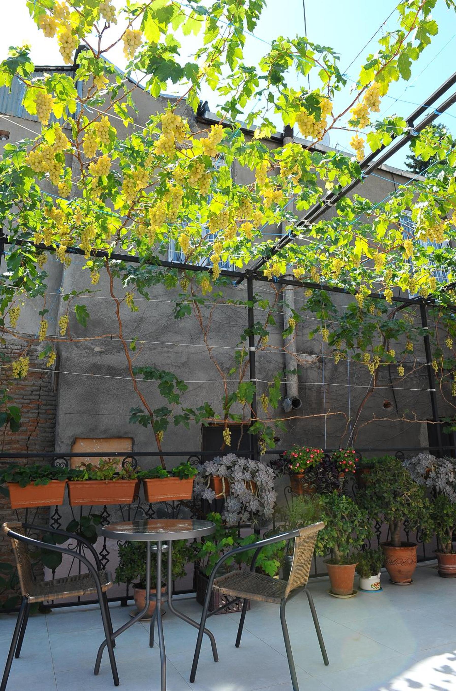 Photo 26