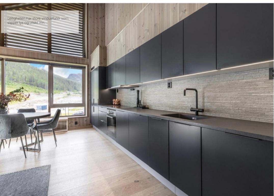 Fantastic apartment in Hemsedal, ski in ski out, Fyri Tunet
