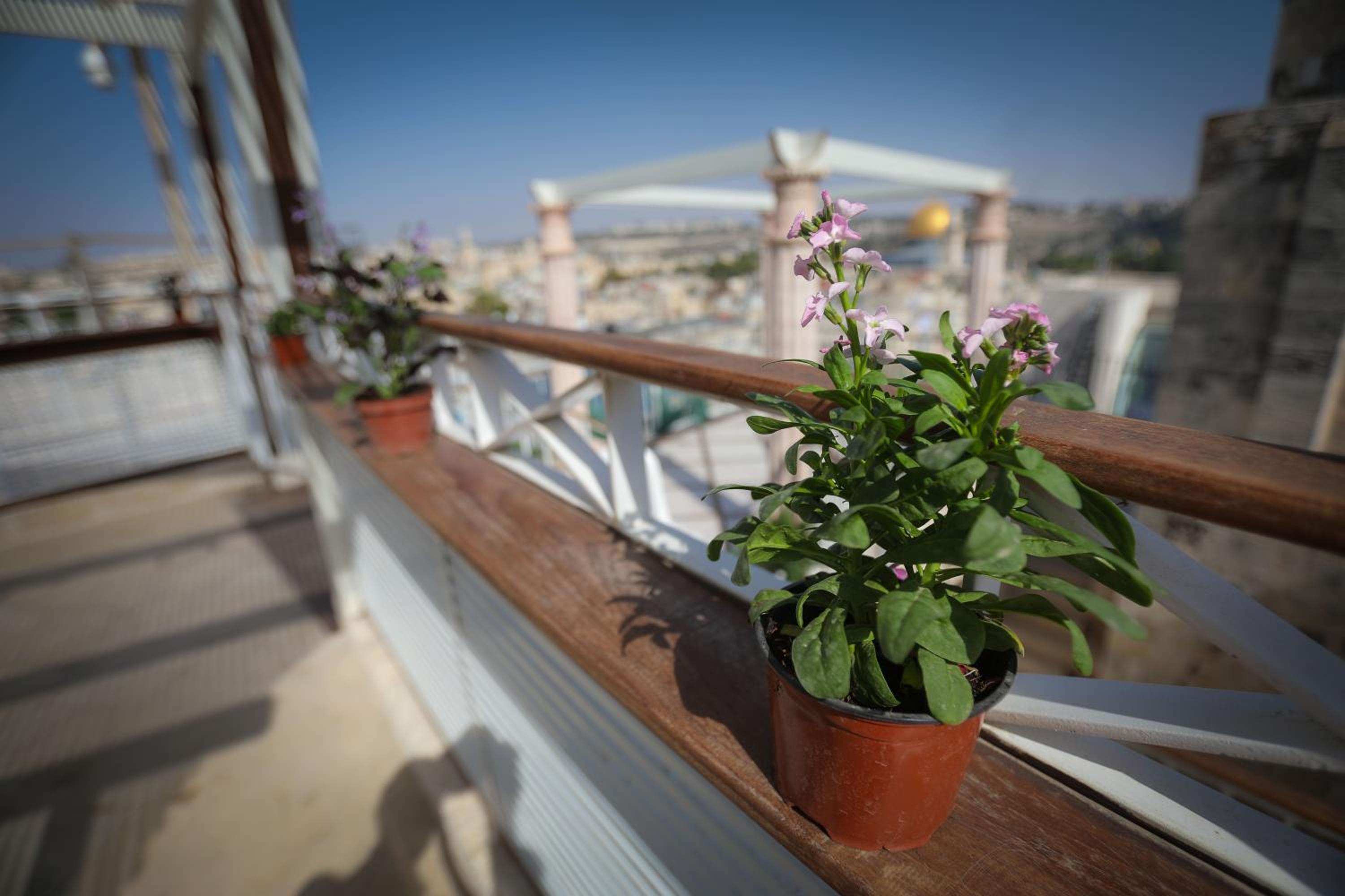 Western Wall Luxury House - Image 2