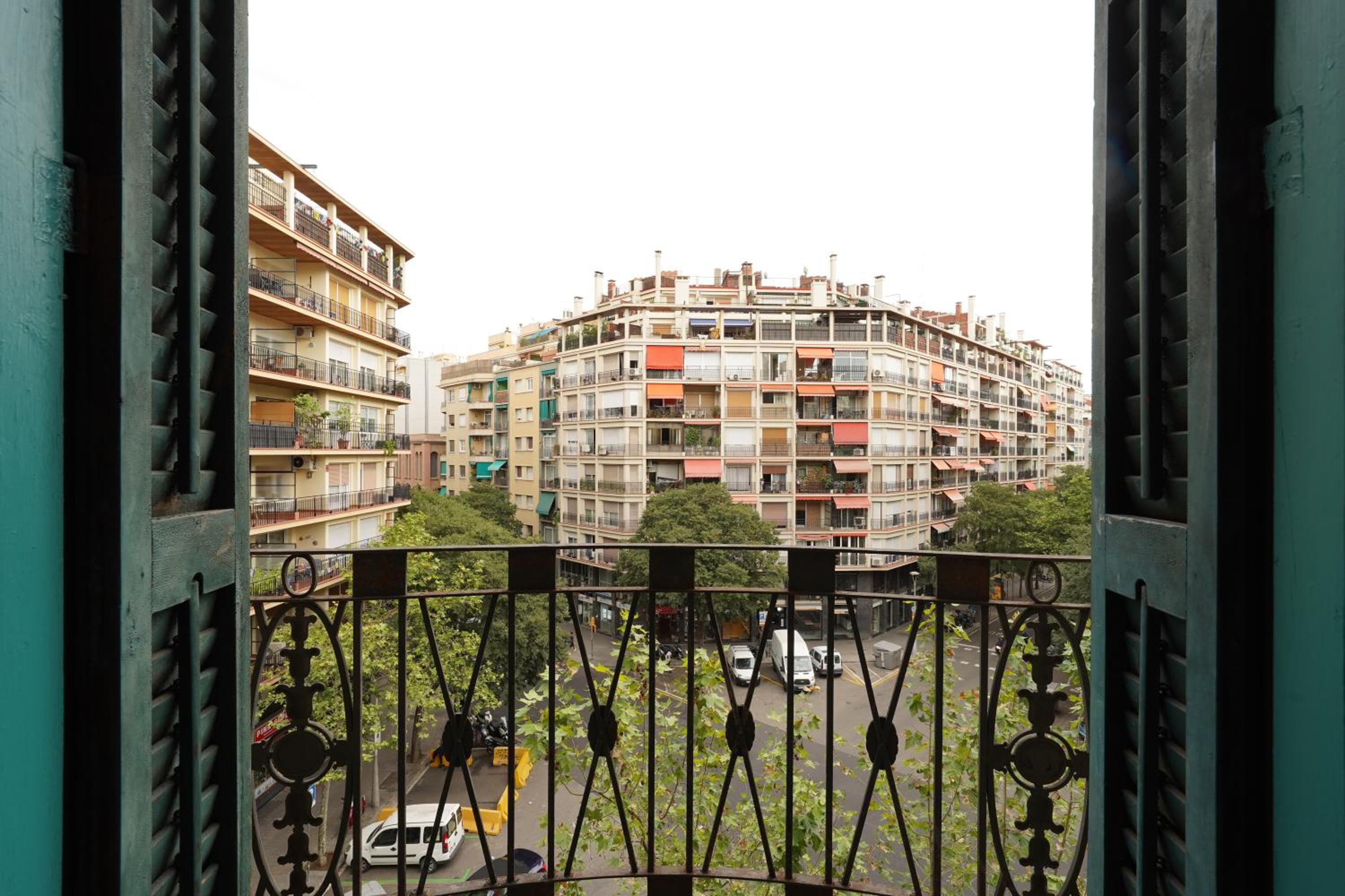 Alcam Entenza