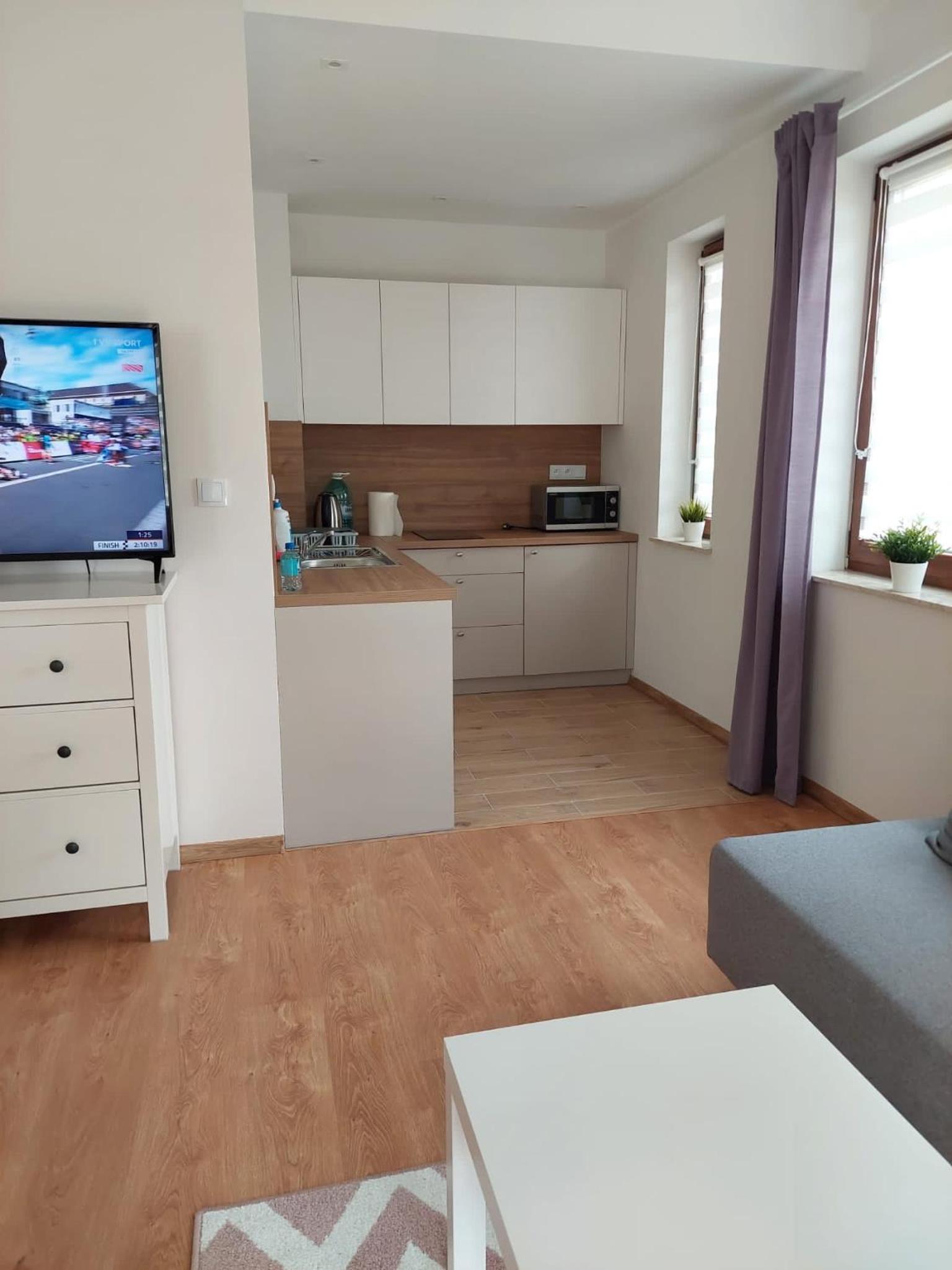 Apartamenty Zdrojowe view 4