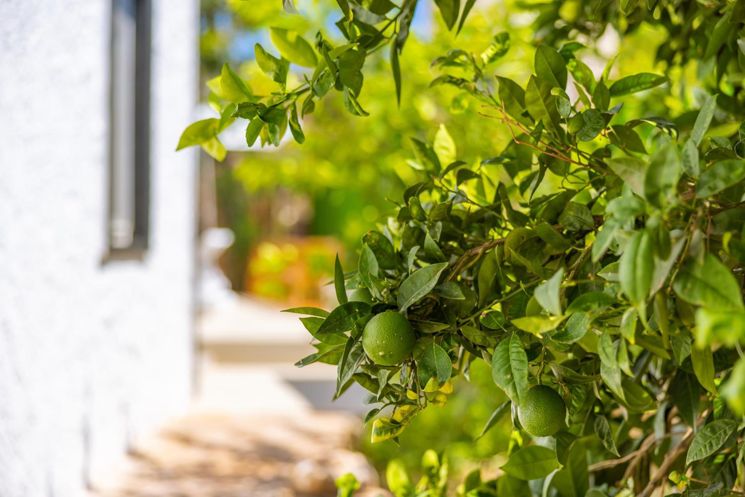 Villa Grando 2 - Image 8