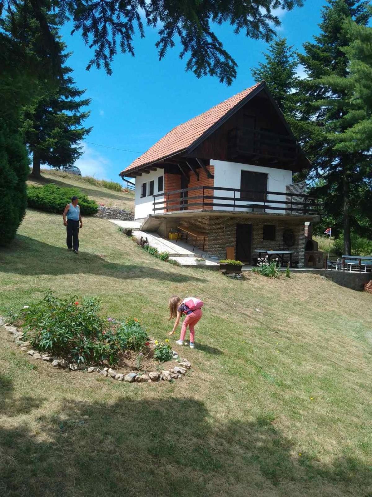 Apartmani Planinska kuća, Jagodnja view 2