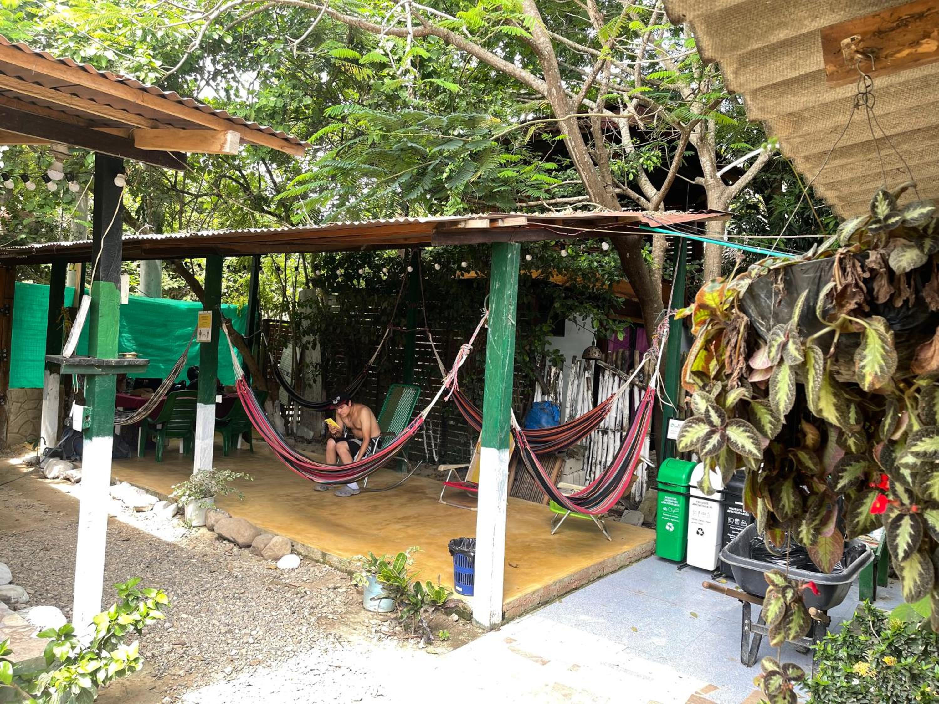 Palomino Hostel view 5