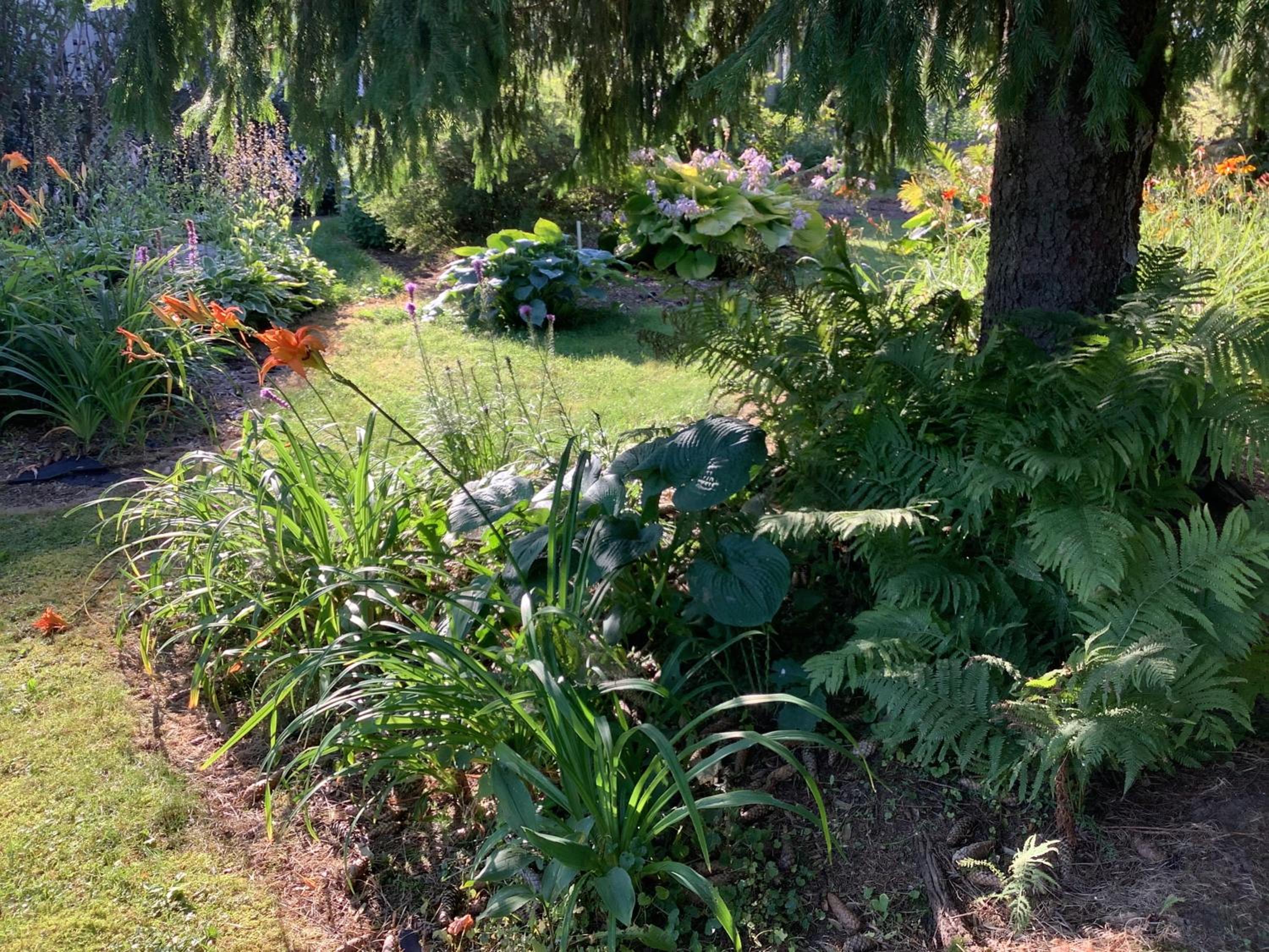 Les saisons du fleuve