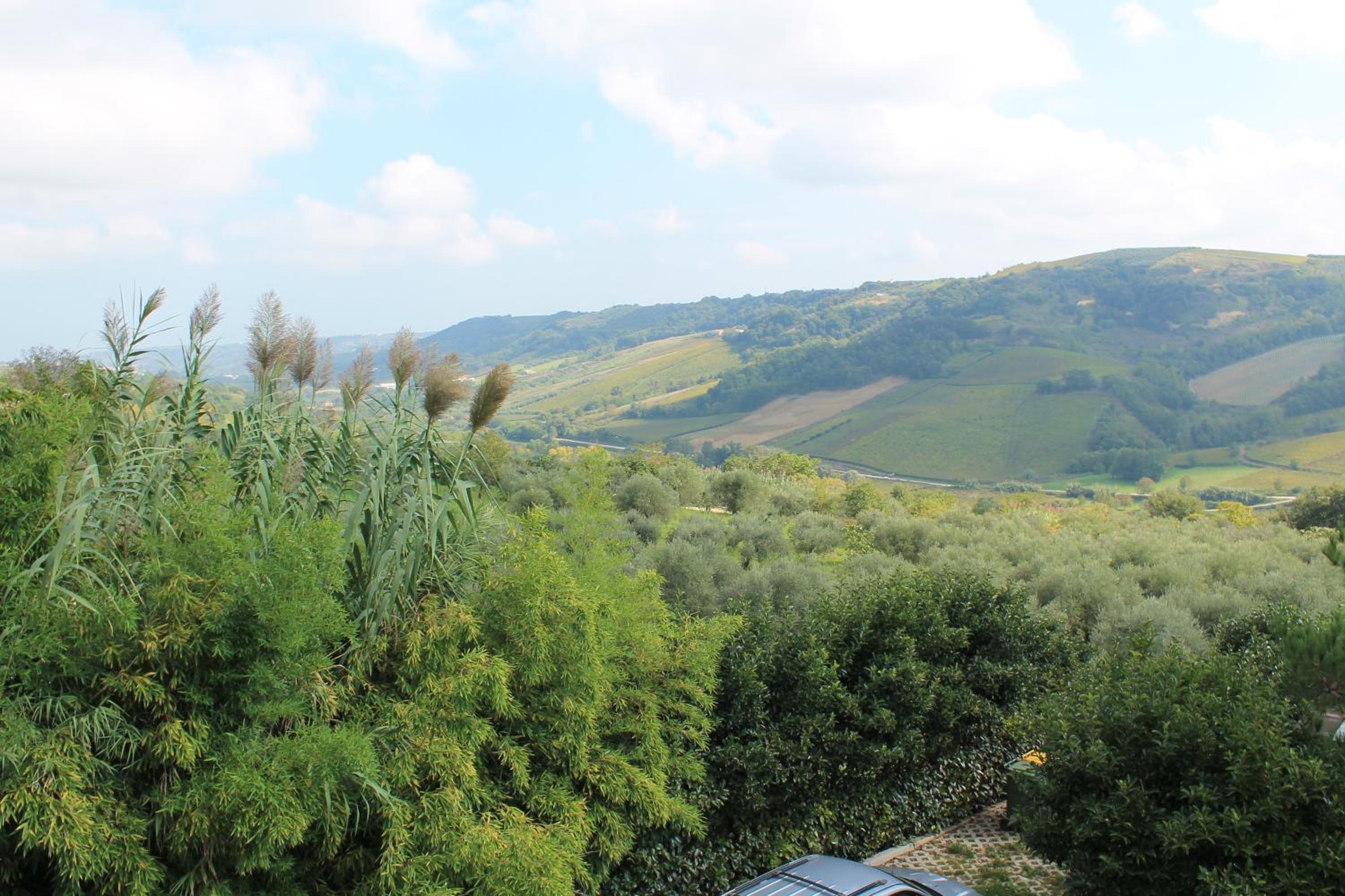 Agriturismo Montupoli