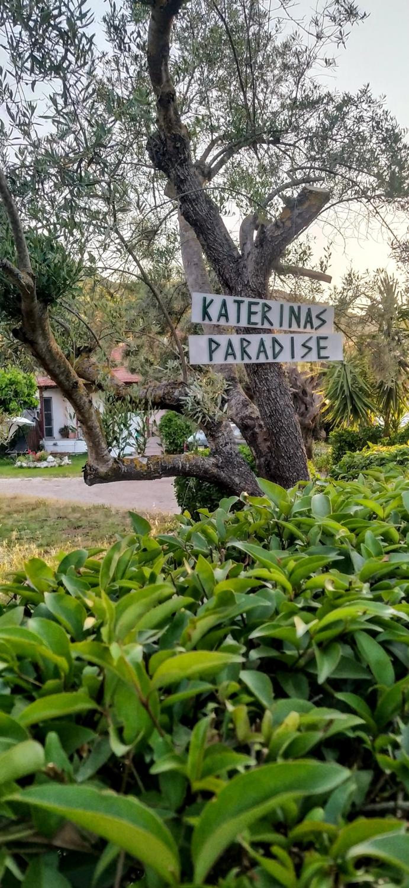 The paradise of Katerina view 3