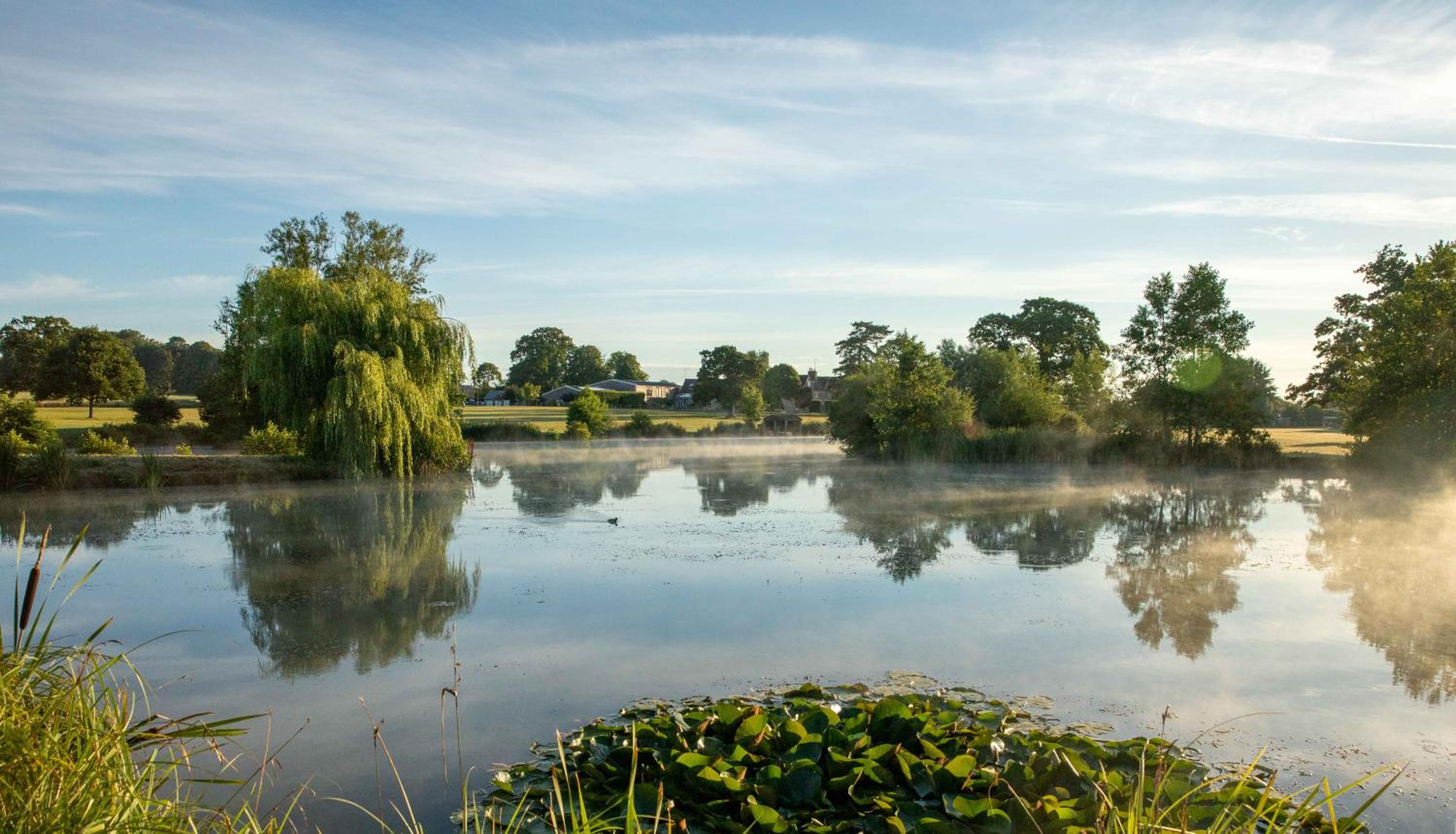 The Lighthouse view 2