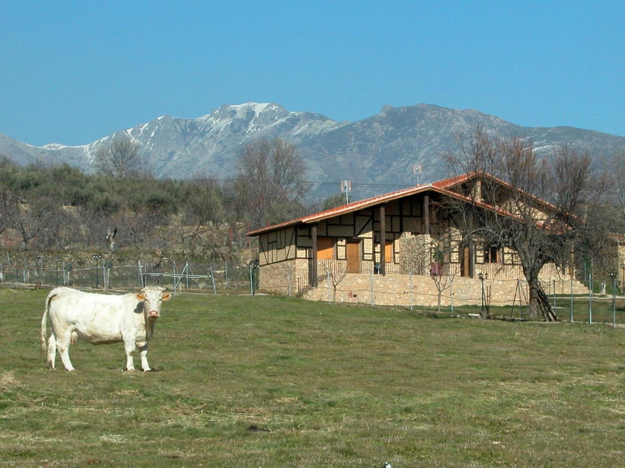 Las Cabañas de La Vera