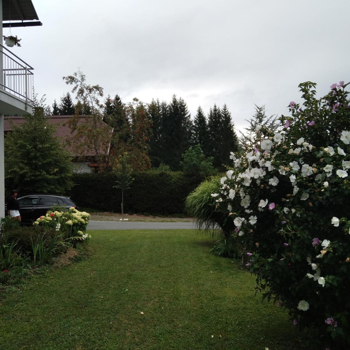 Photo 33