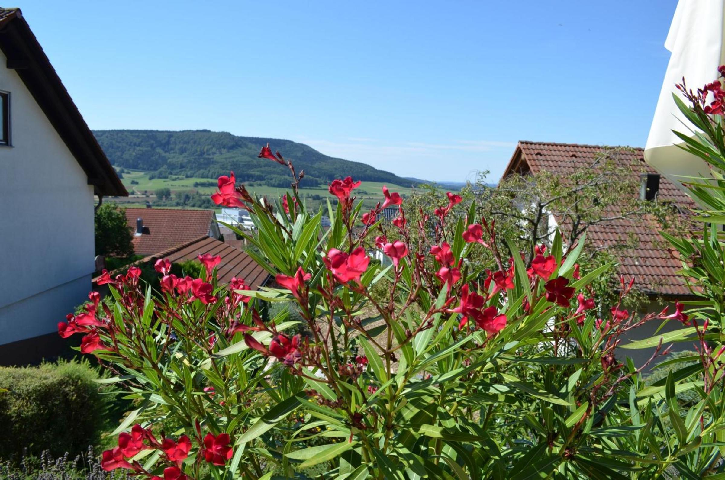 Ferienwohnung Rieth