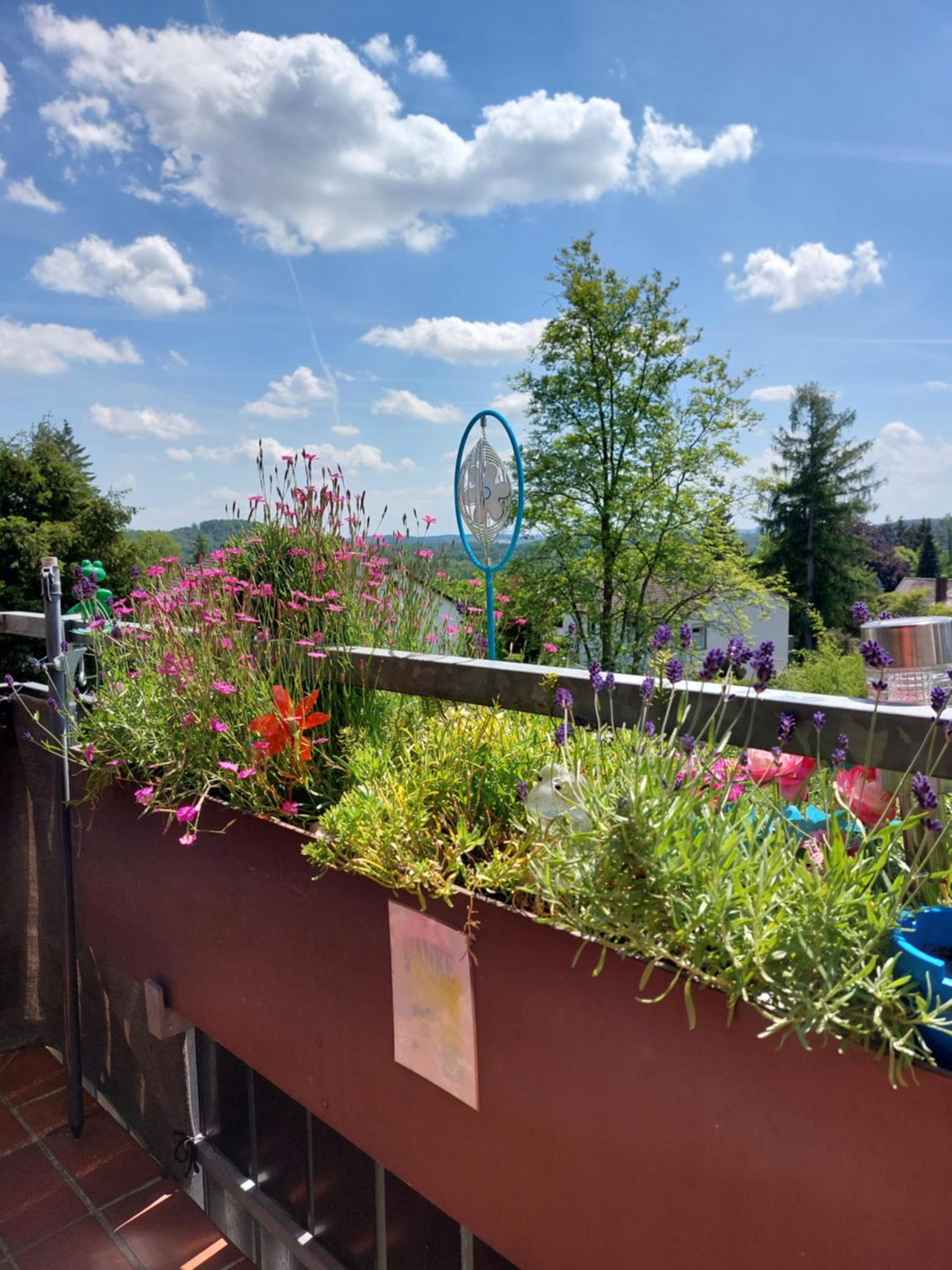 Haus Sachsensteinblick Ferienwohnung Sonnenschein