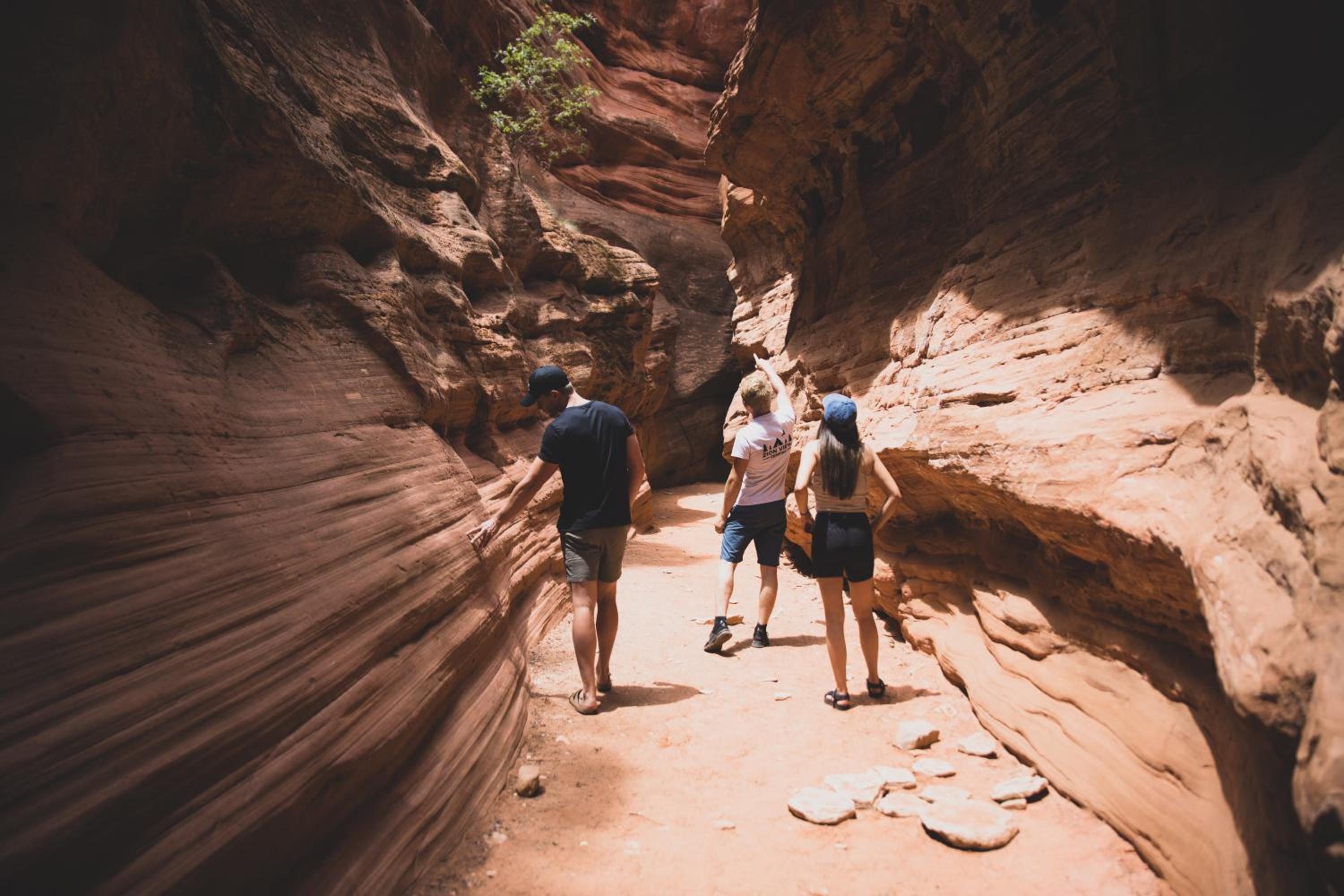 Zion View Camping - Property Image 6