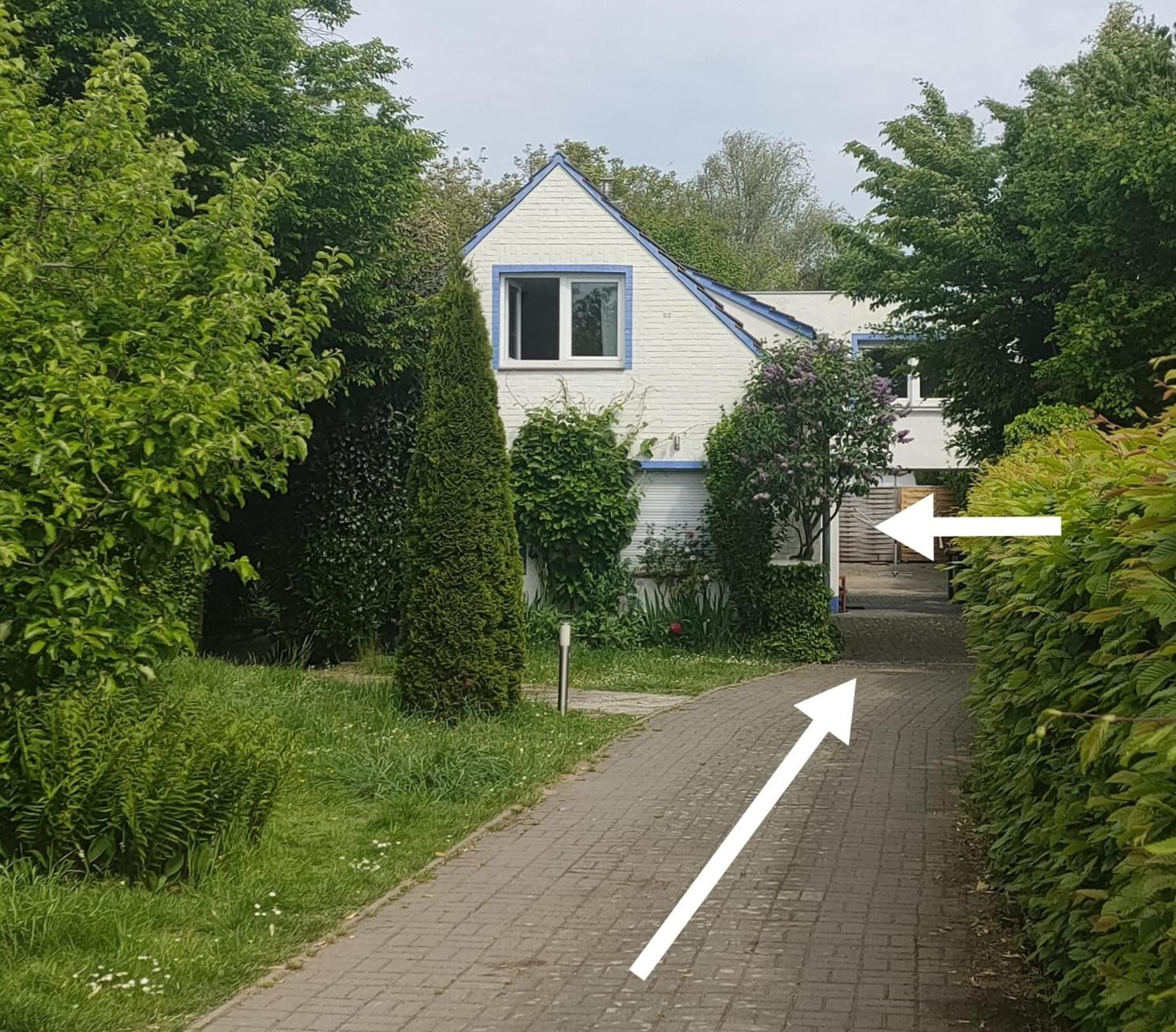 Photo 45
